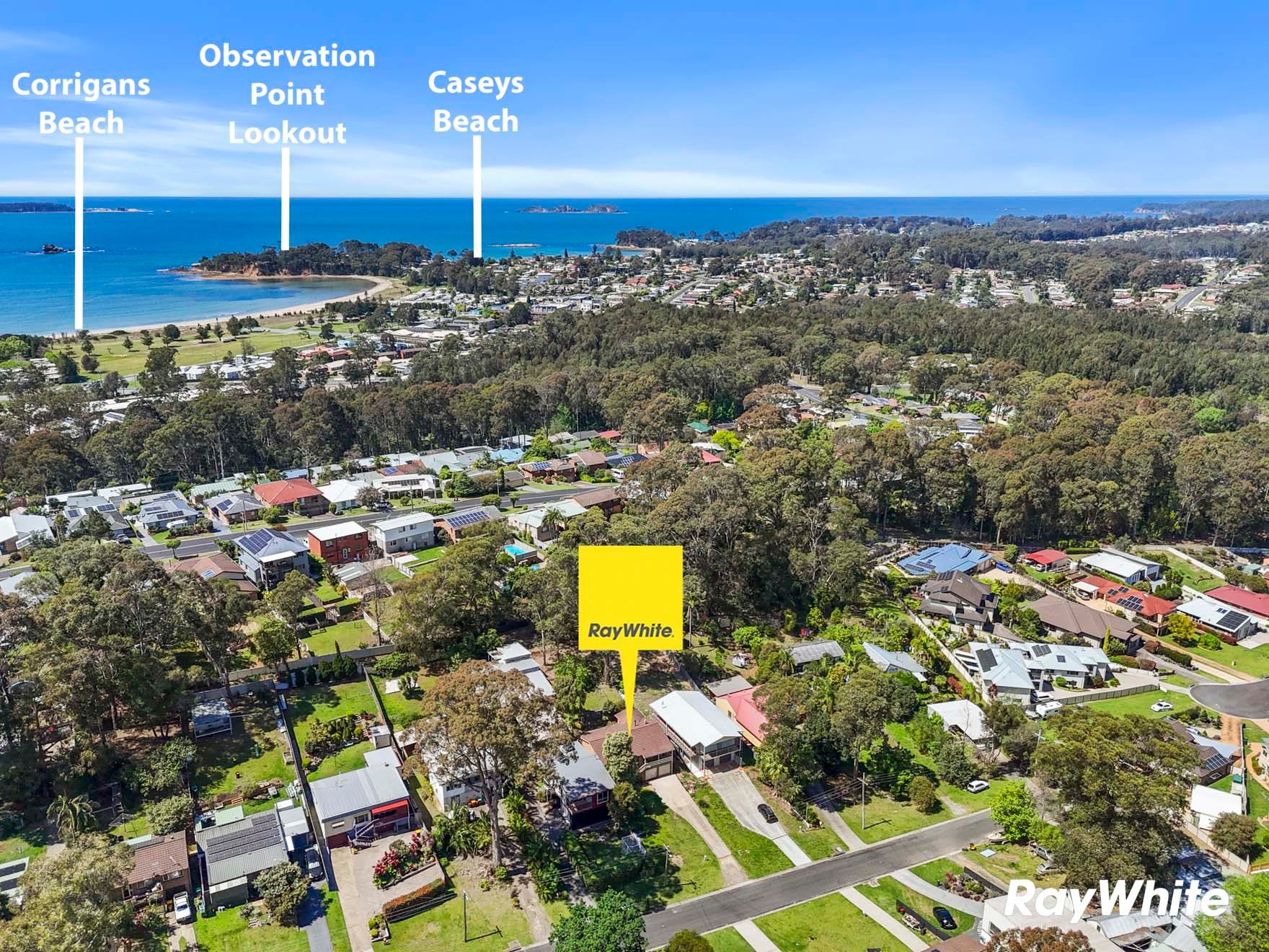 19 Berrima Street, Catalina, NSW 2536