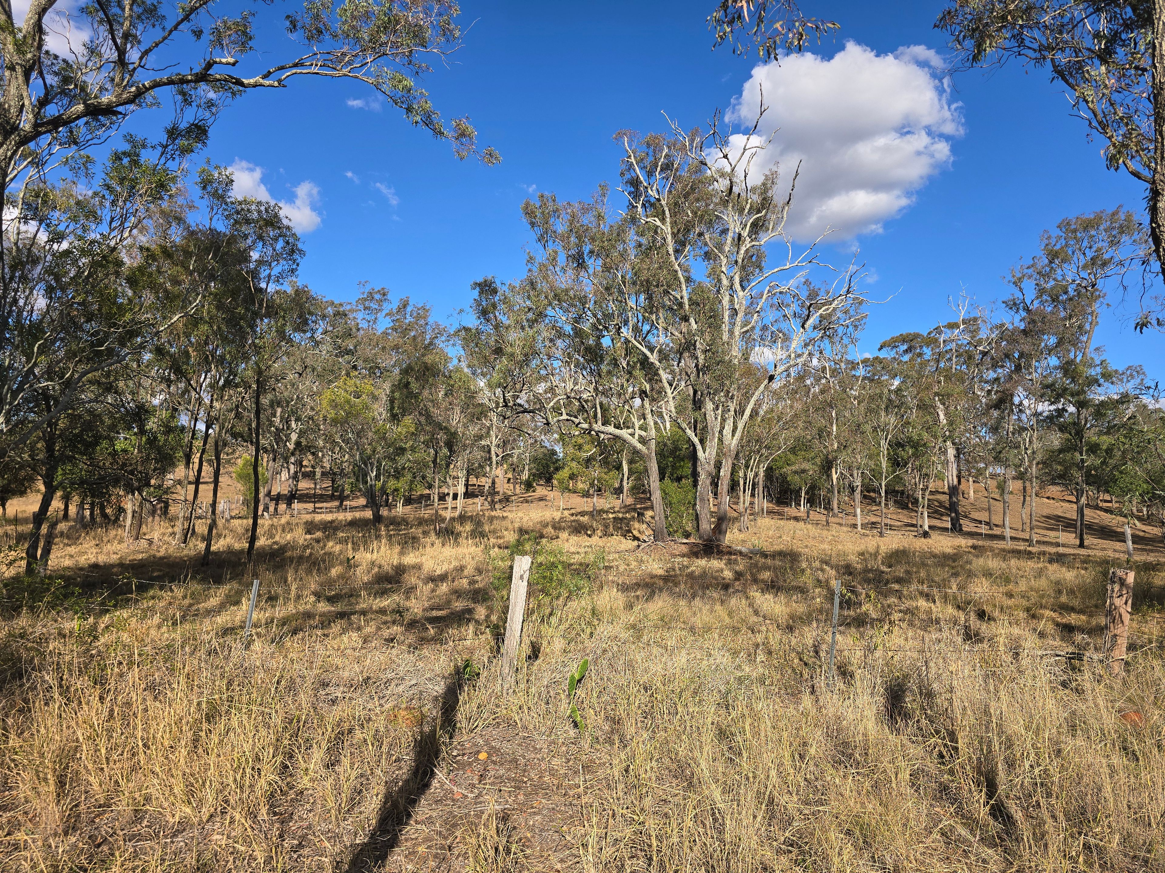 Lot 266 Goombungee Kilbirnie Road, Haden, QLD 4353