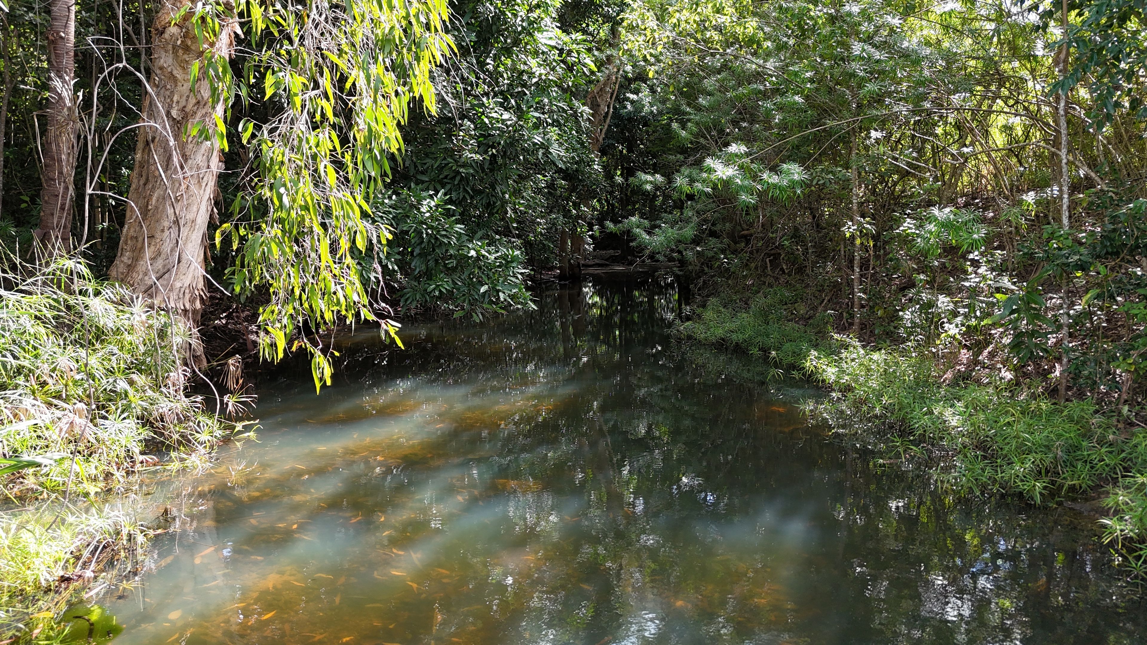 90587 Bruce Highway, Sarina, QLD 4737