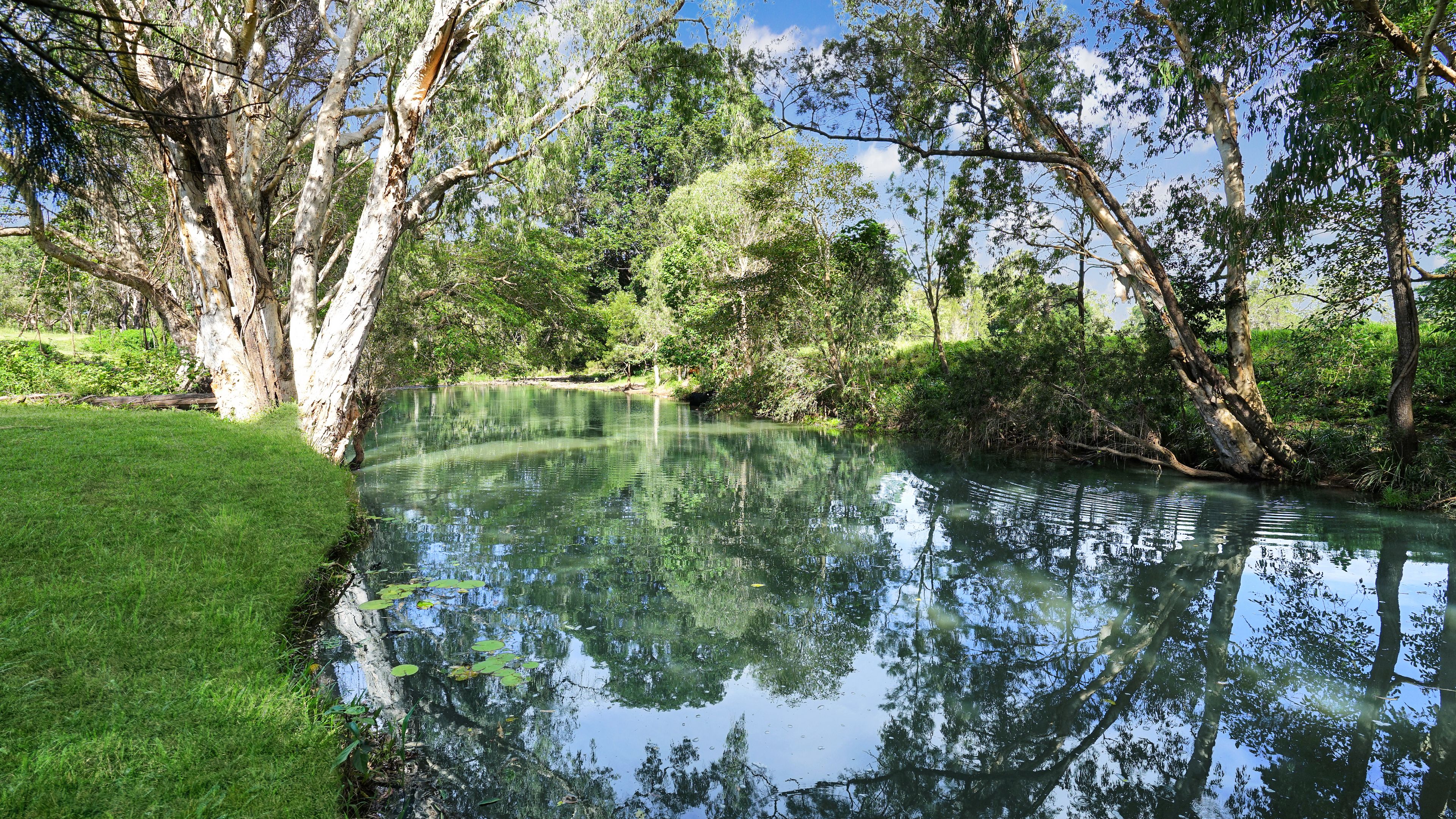204 Landells Road — photo from Ray White Rural Sarina