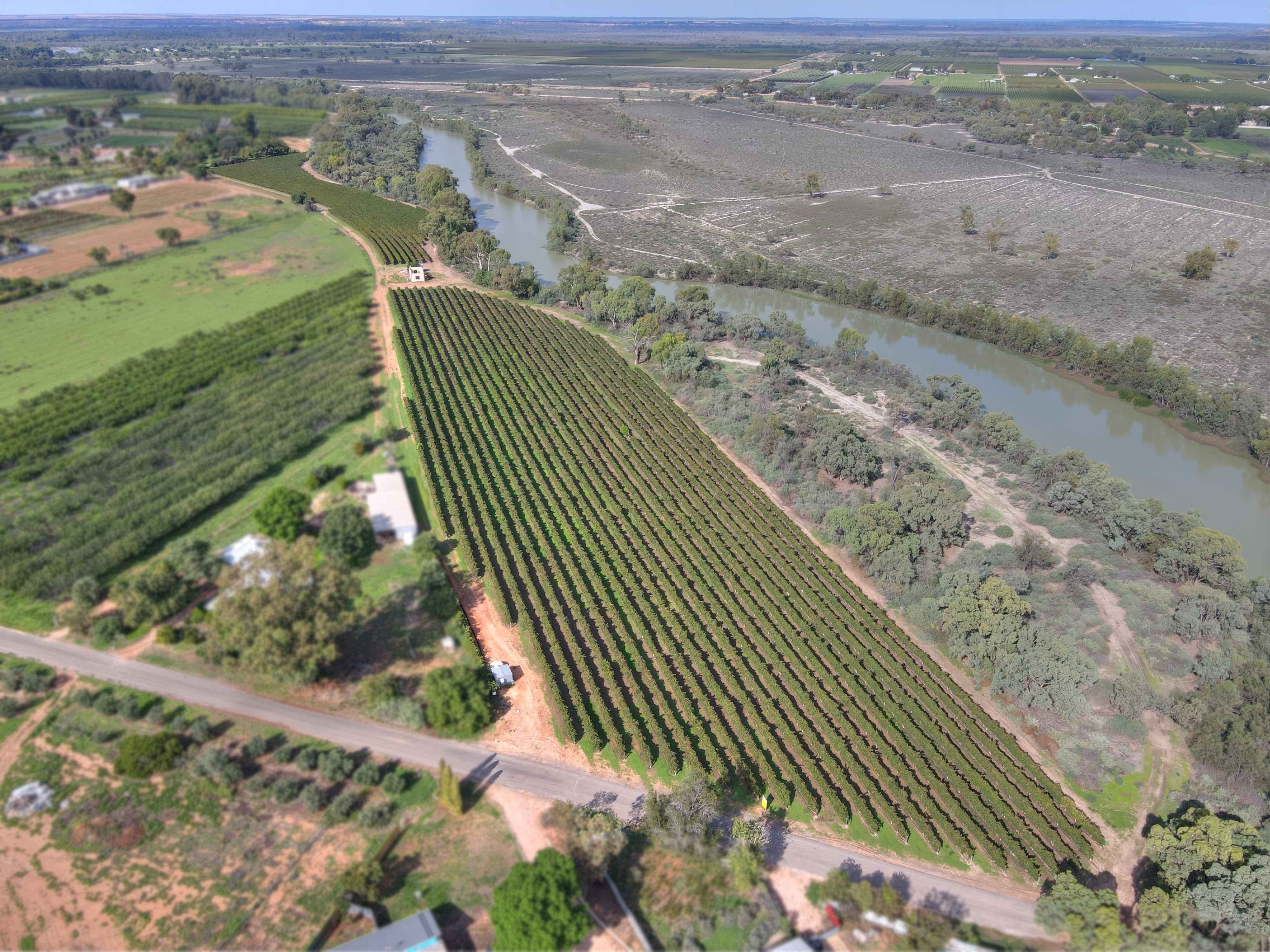 Lot 314 Twentyfourth Street, Renmark, SA 5341