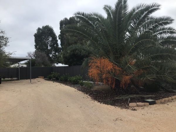 6 Eringa Avenue, Loxton, SA 5333