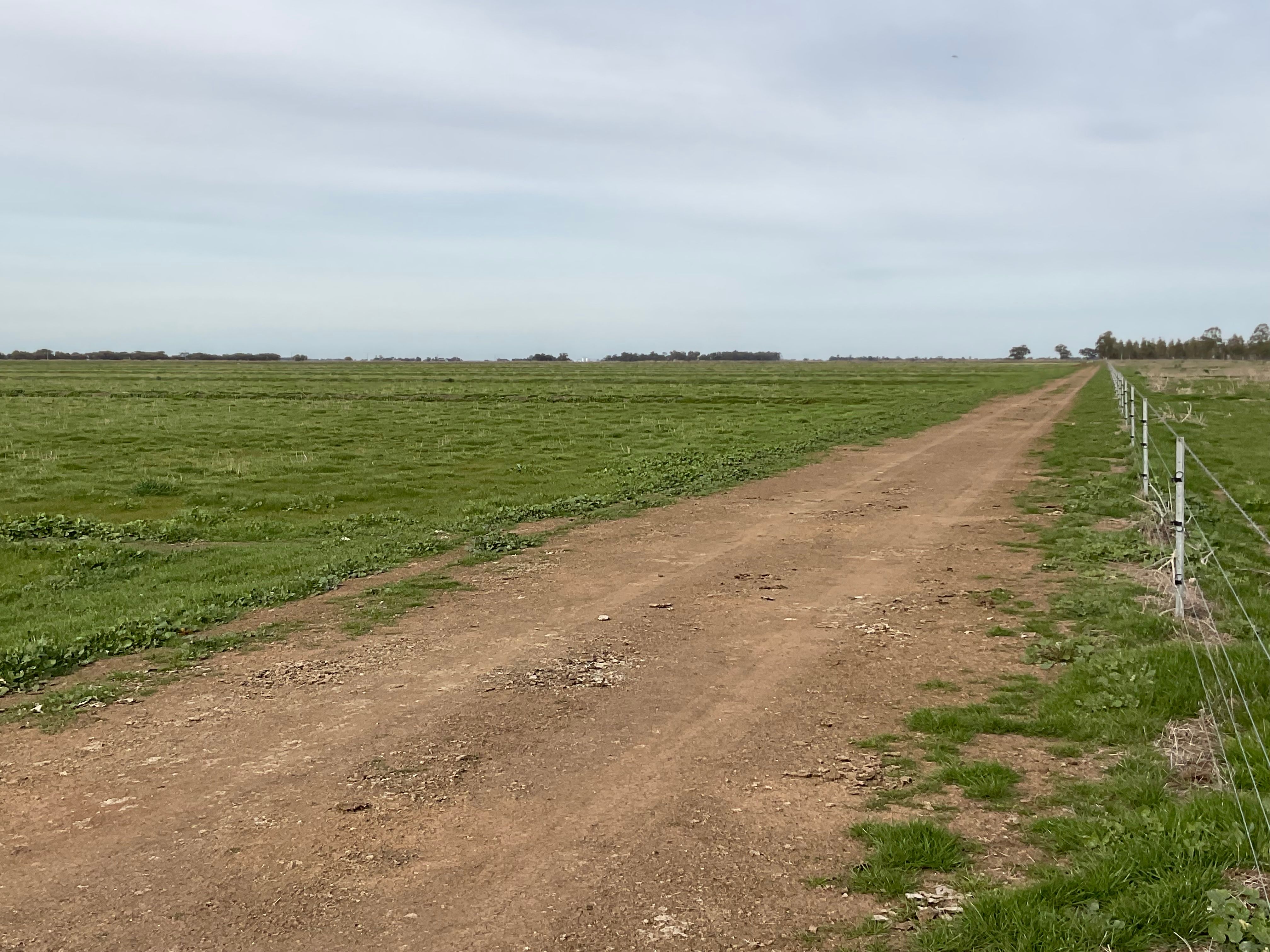 Part Farm 1428 Glenn Road, Murrami, NSW 2705 Rural Cropping Property