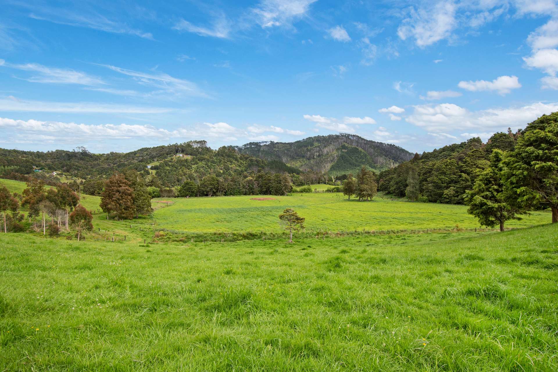 0 Russell Road Airstrip Block photo 26