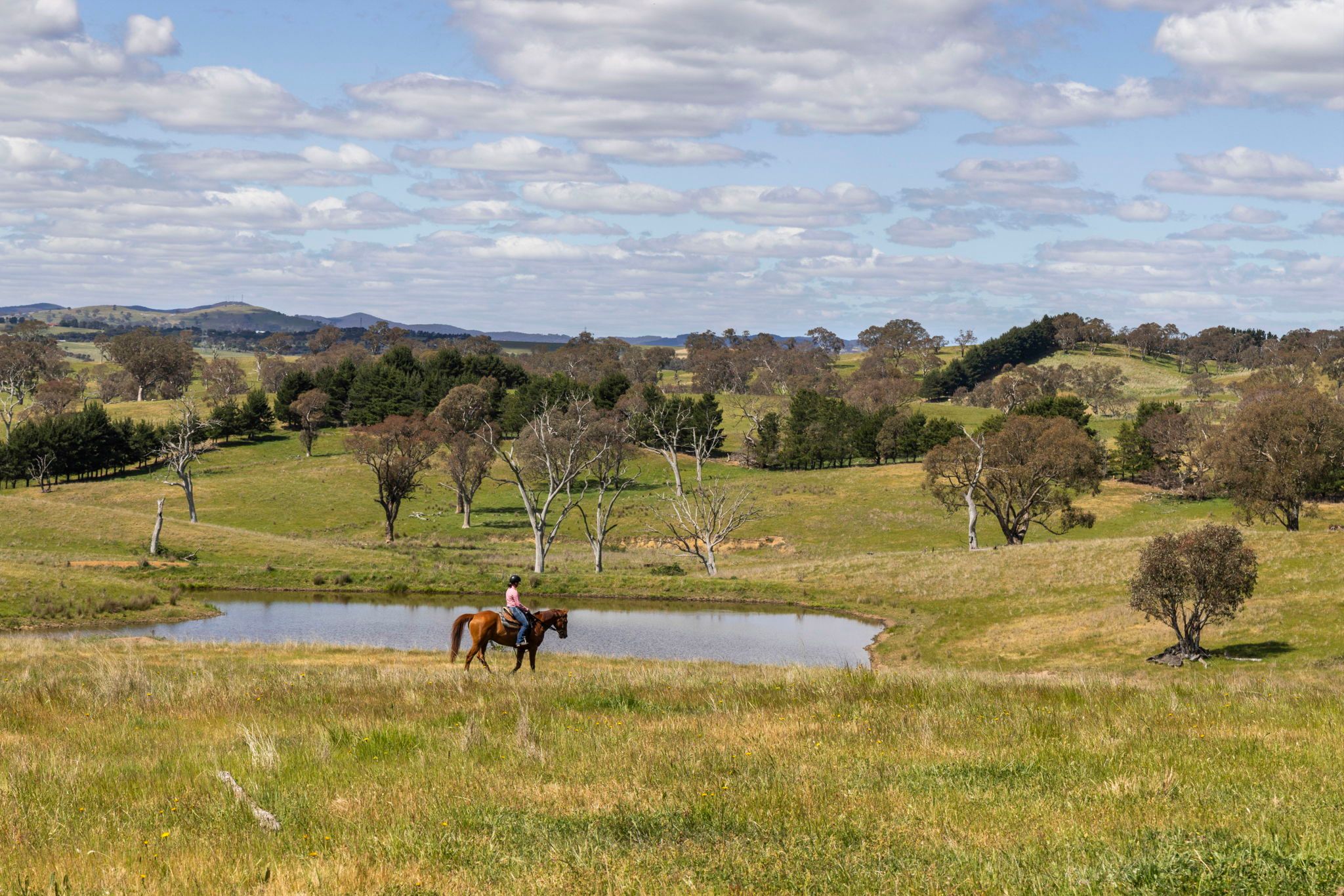 "Summer Hill" "Summer Hill"/256 Good Hope Road, Yass, NSW 2582 Sold