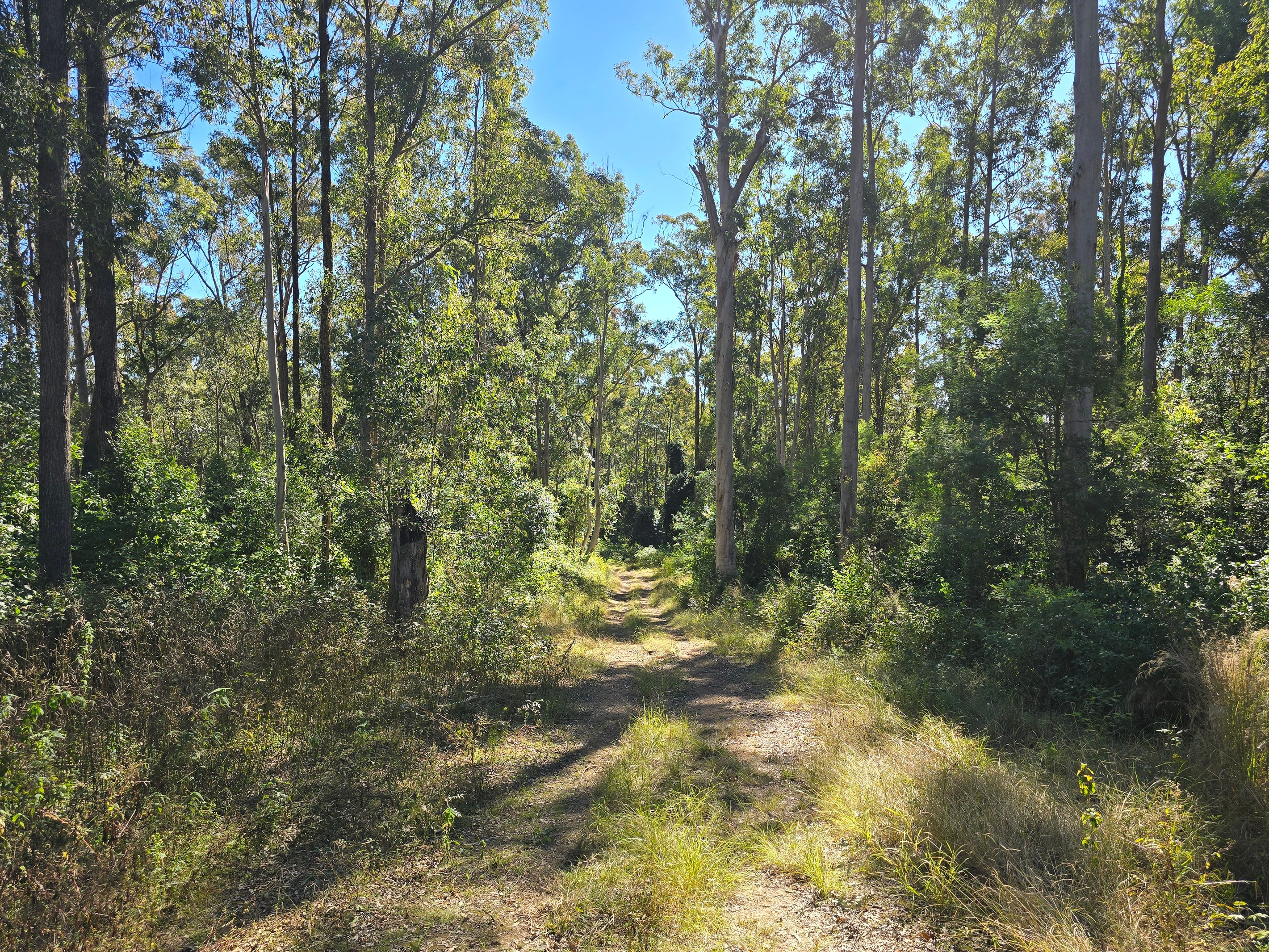 0 SUNDAY CREEK Road, Jimna, QLD 4515