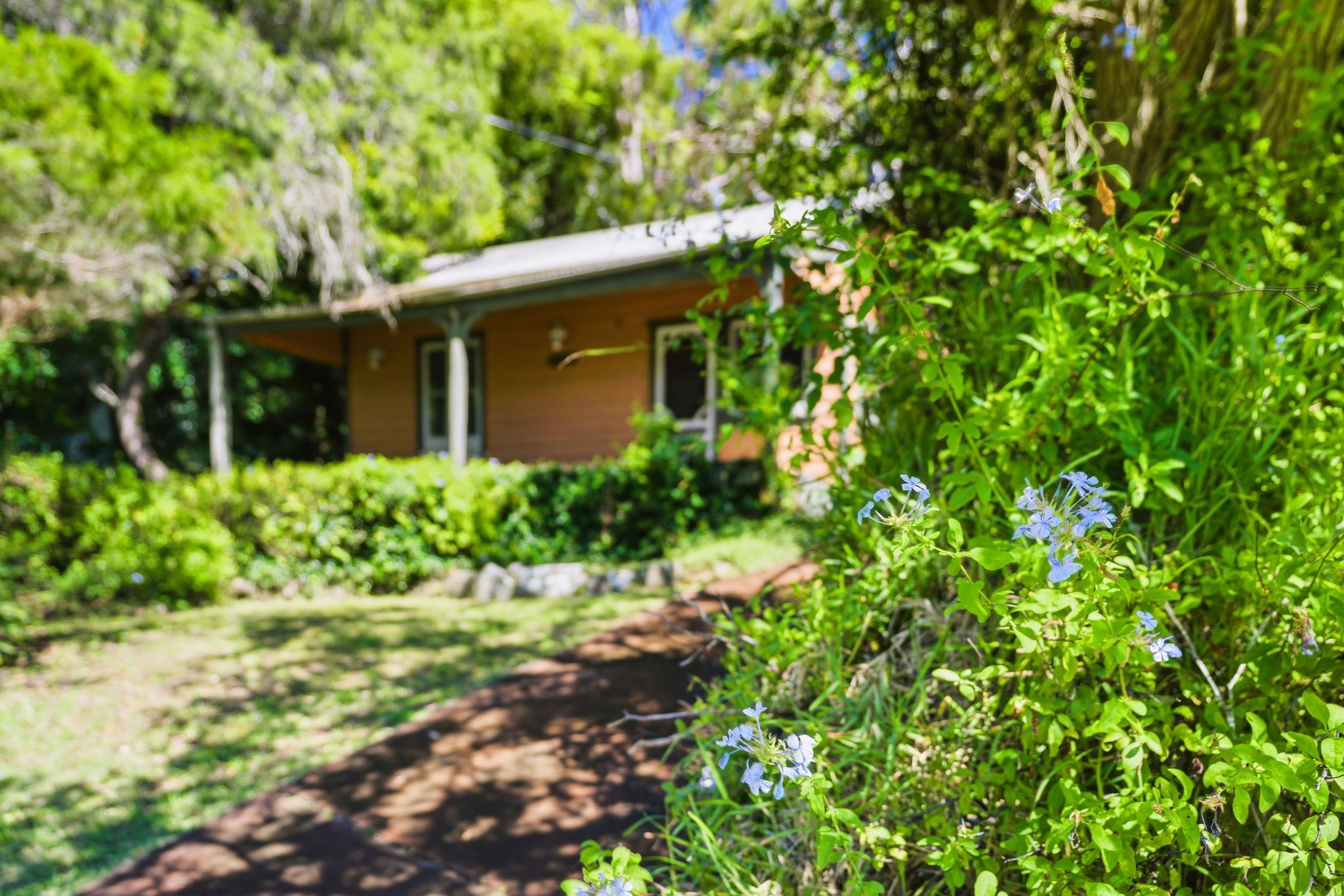 18 Wagstaffe Avenue, Wagstaffe, NSW 2257