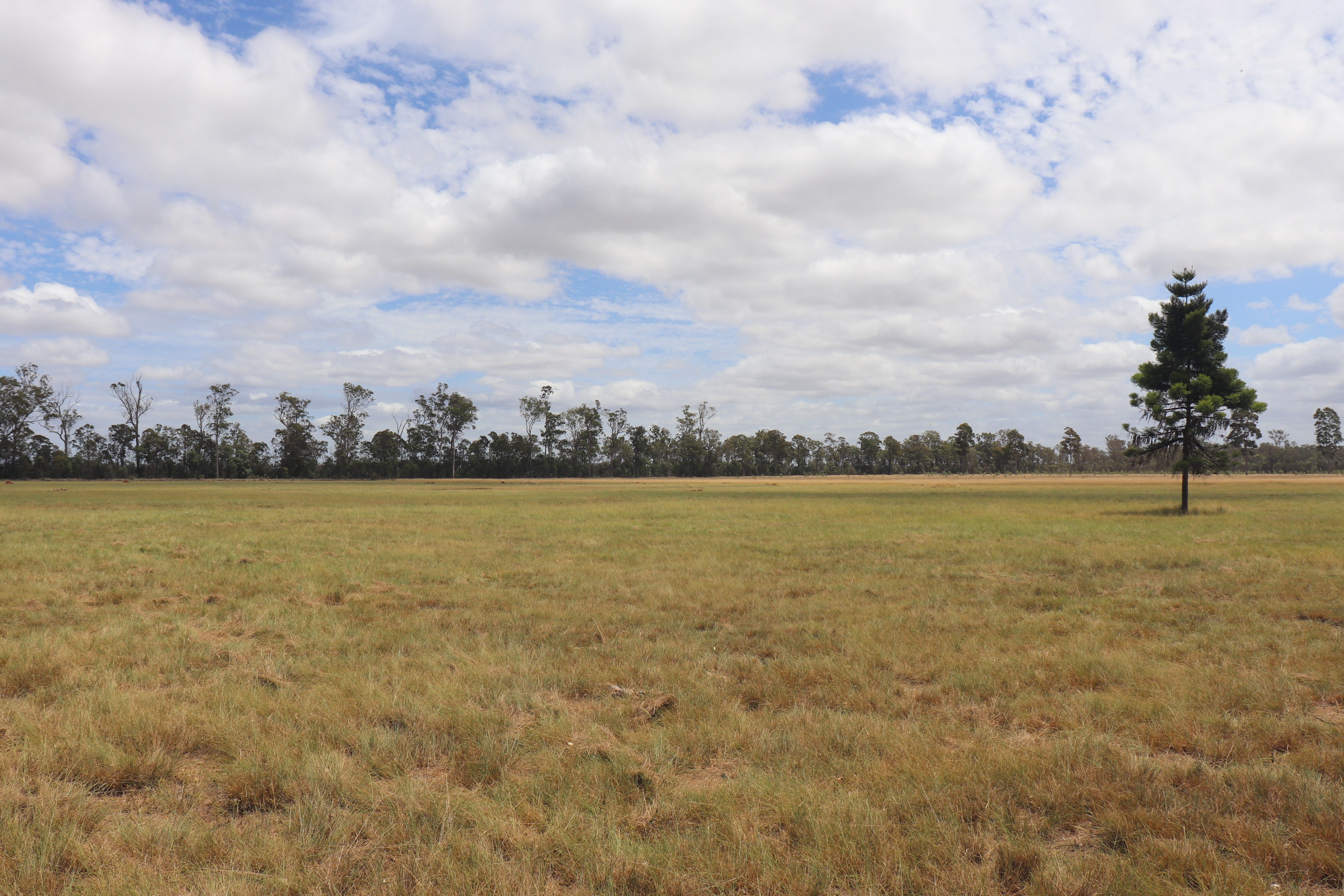 225 Beils Road, Inverlaw QLD 4610