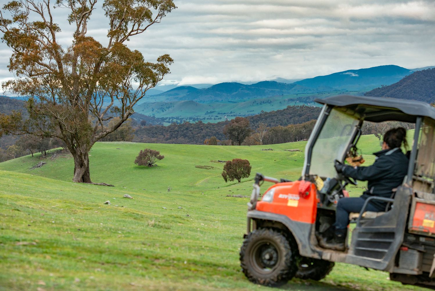 110 Tumbarumba Creek Road, Tumbarumba NSW 2653
