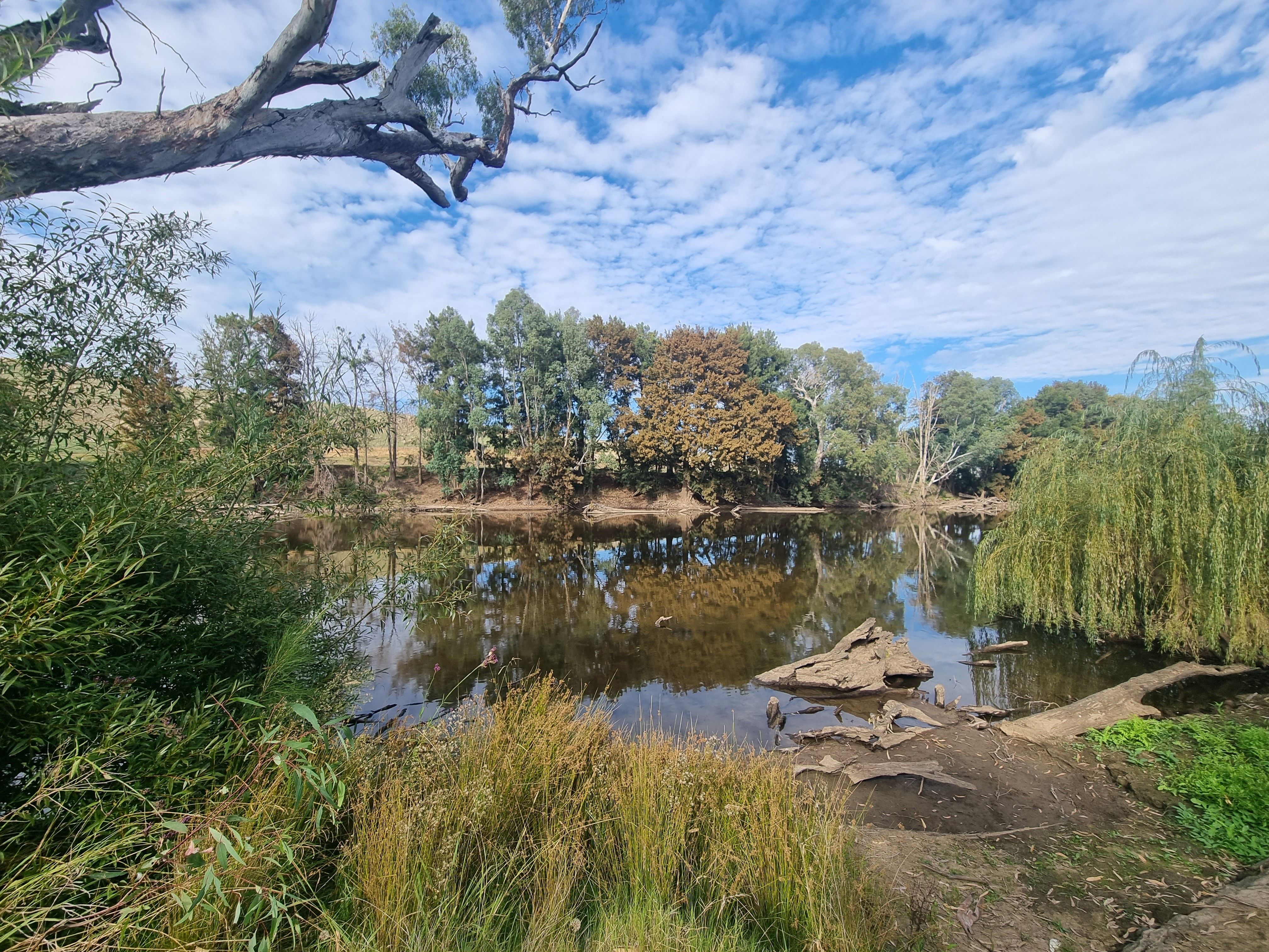 Lot 316 Riverside Drive, Jugiong, NSW 2726