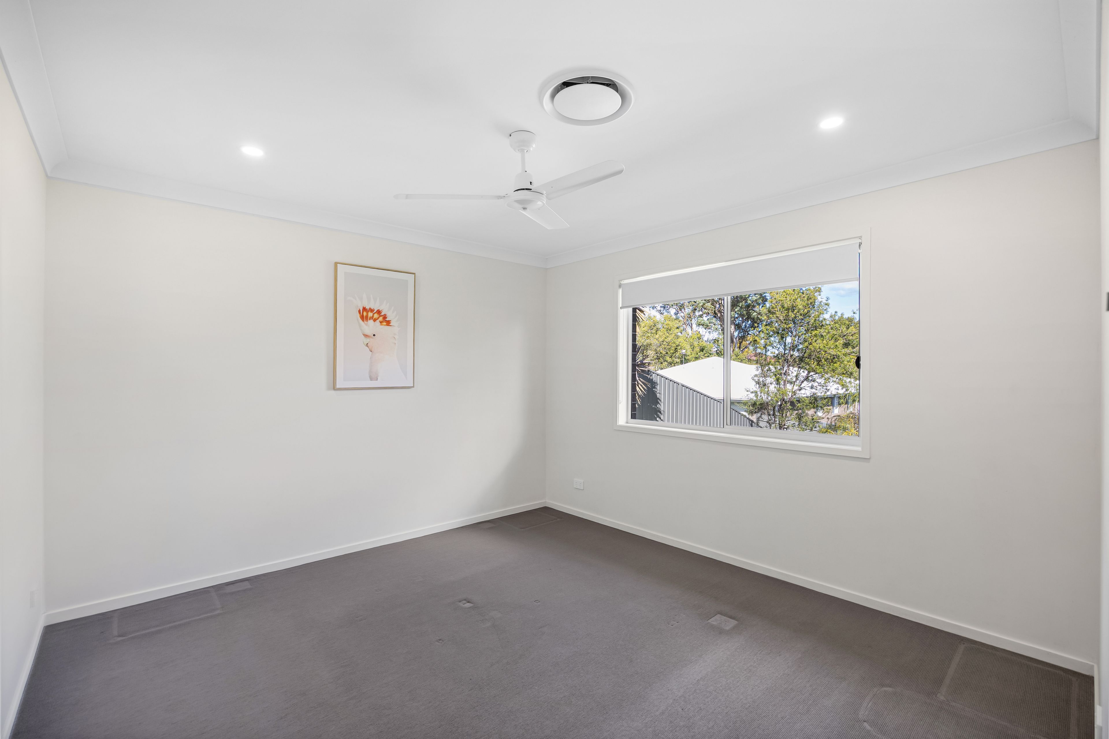 1/1B Turnbull Street — photo 9 of 12
