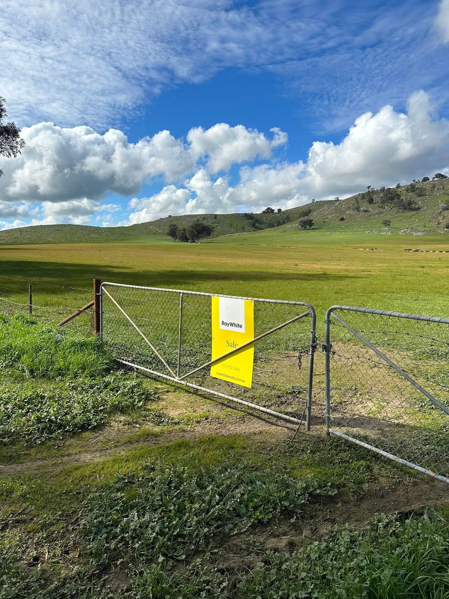 Corner of Horse Gully Road and Balmattum Road — photo 8 of 8