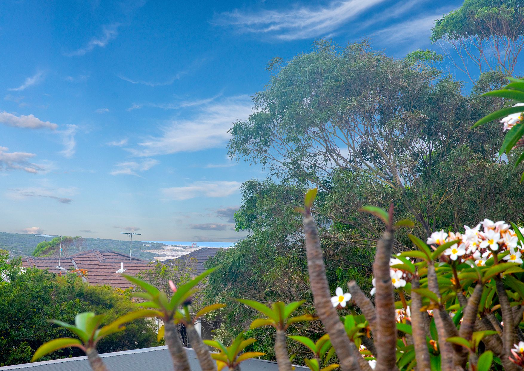 7/5-7 Adams Avenue, Malabar, NSW 2036