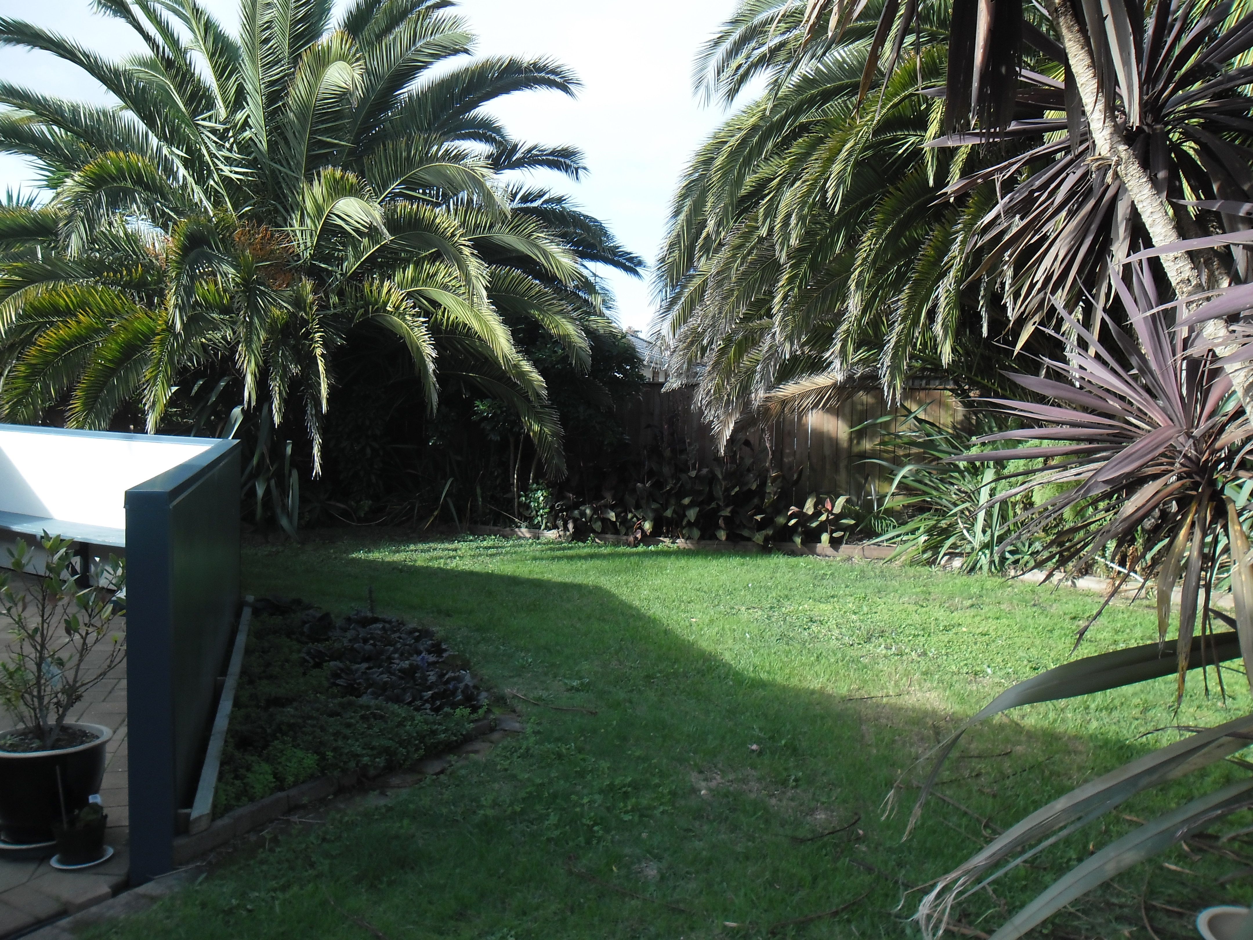 6 Genoa Close, Flagstaff, Hamilton City