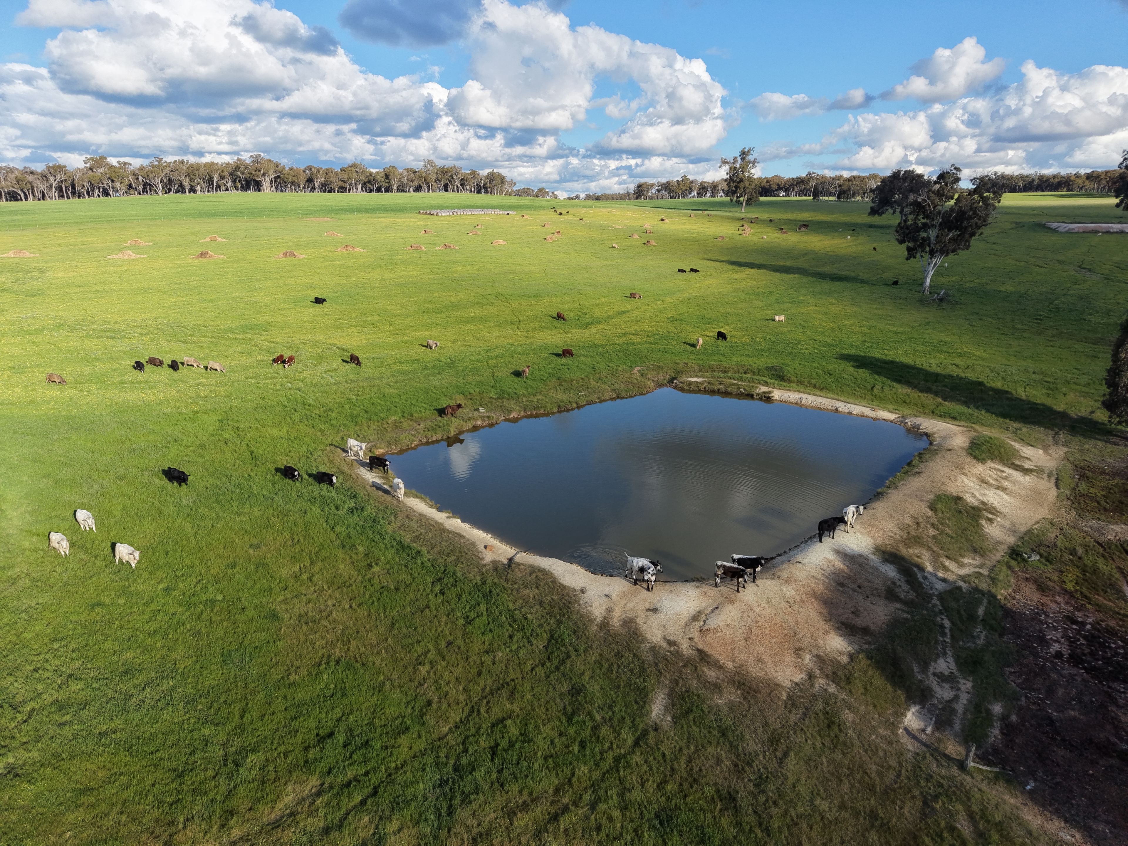 Lot 6694 Scotts Brook Road — photo 4 of 9