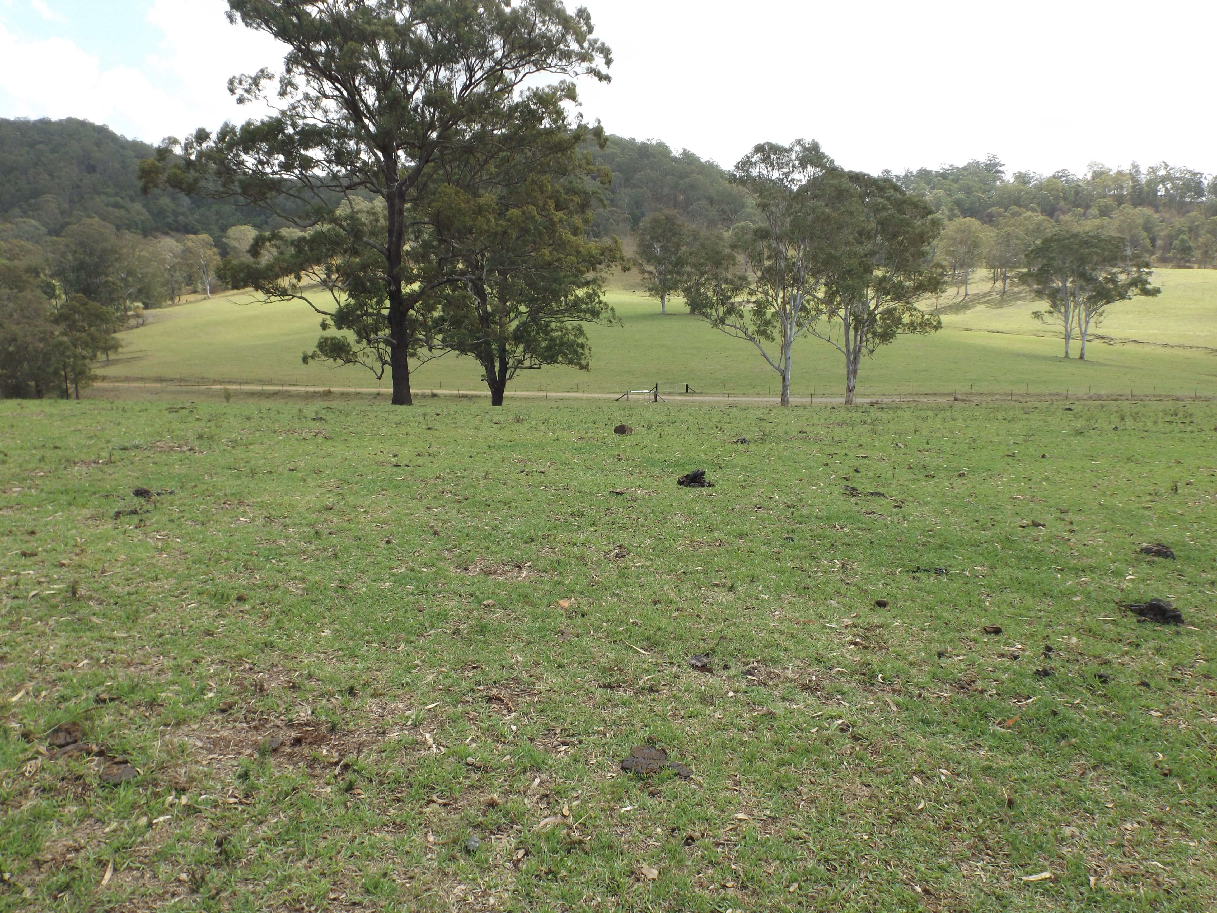 Lot 84 Lochinvar Road, Wherrol Flat, NSW 2429