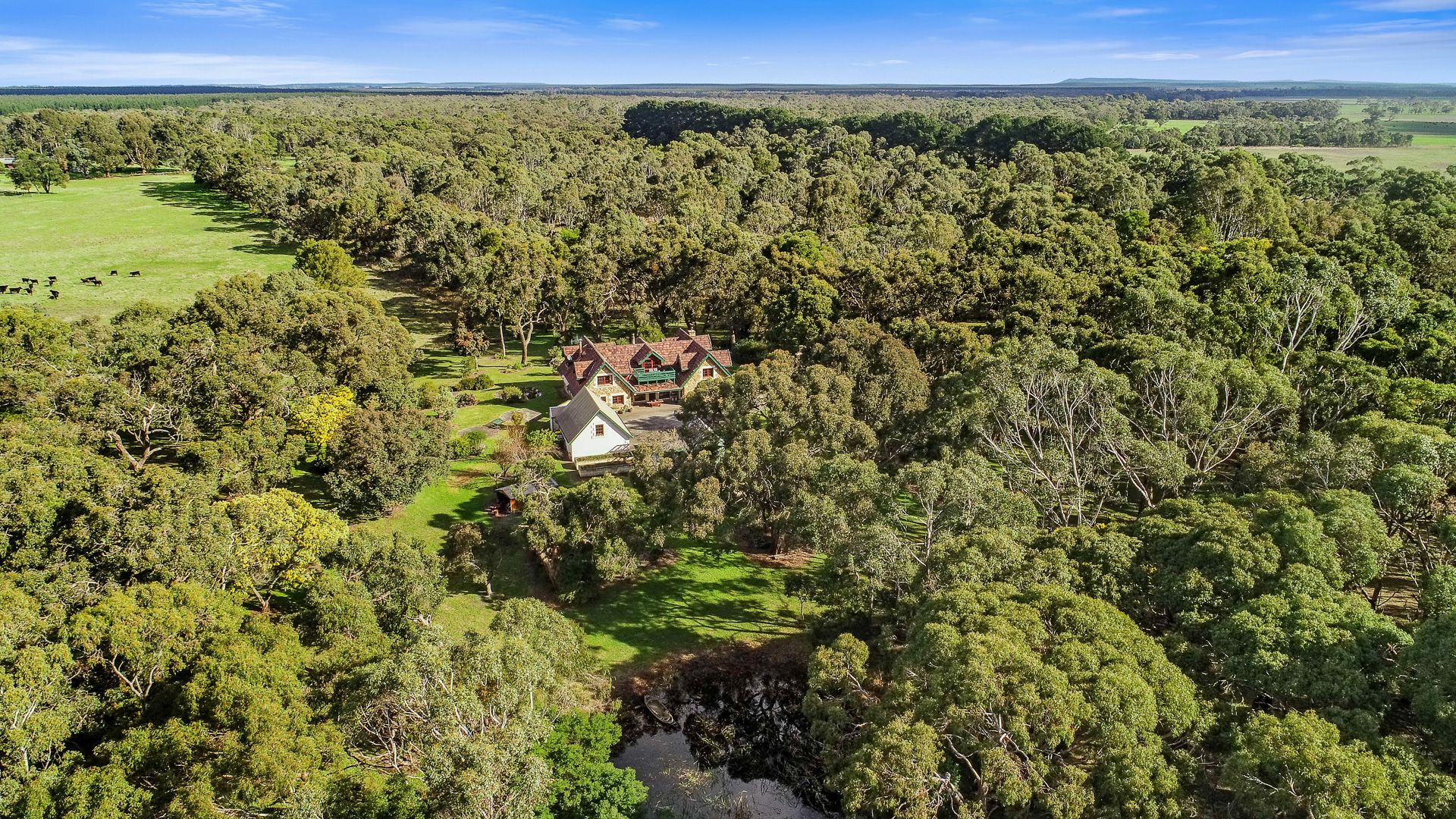 264 Grundys Lane, Dismal Swamp, SA 5291