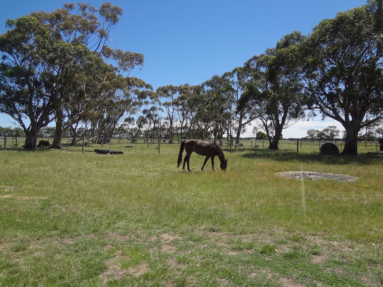 2287 Hopkins Highway, Purnim, VIC 3278