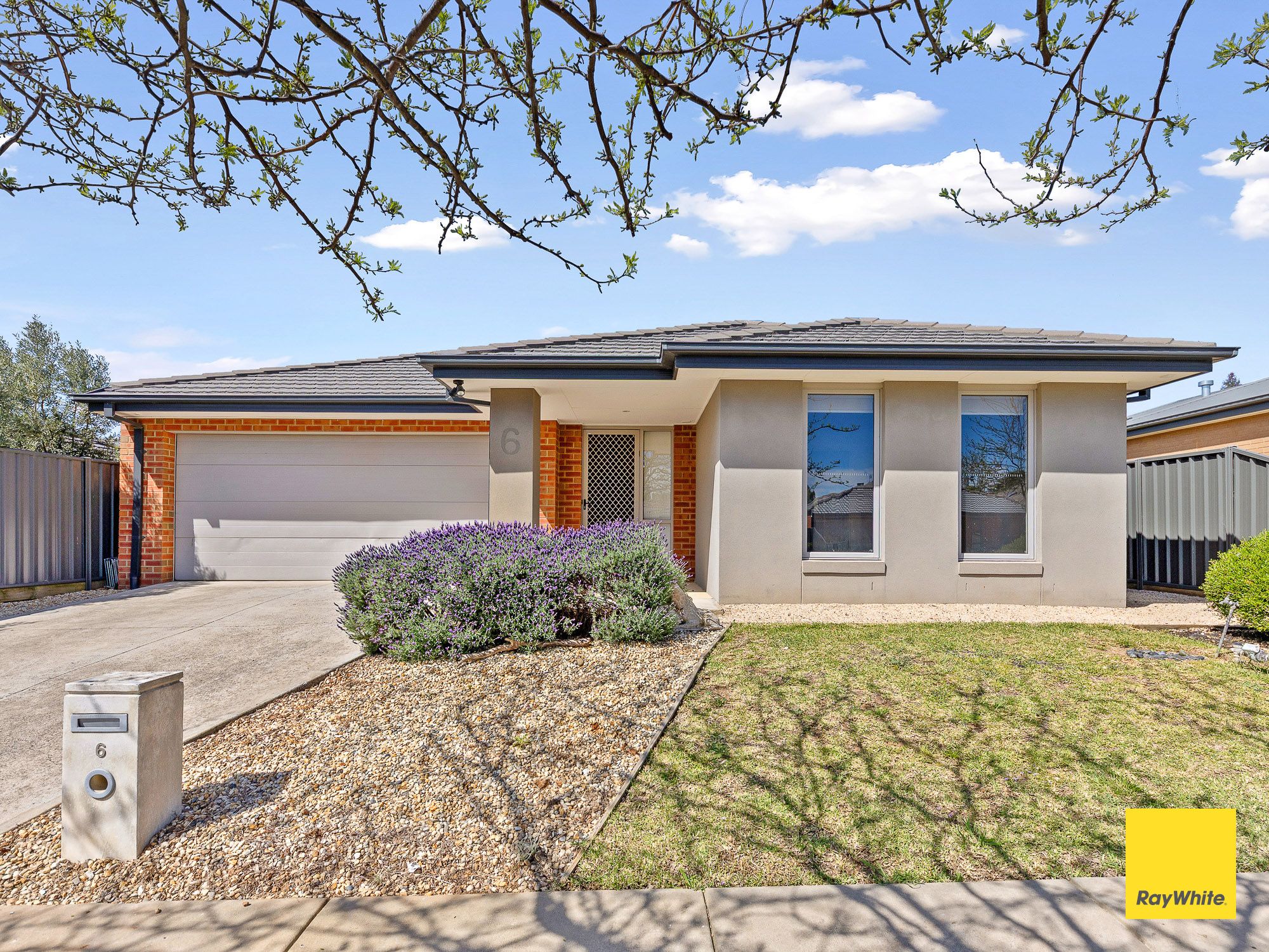 6 Ainsworth Street — photo from Ray White Bendigo