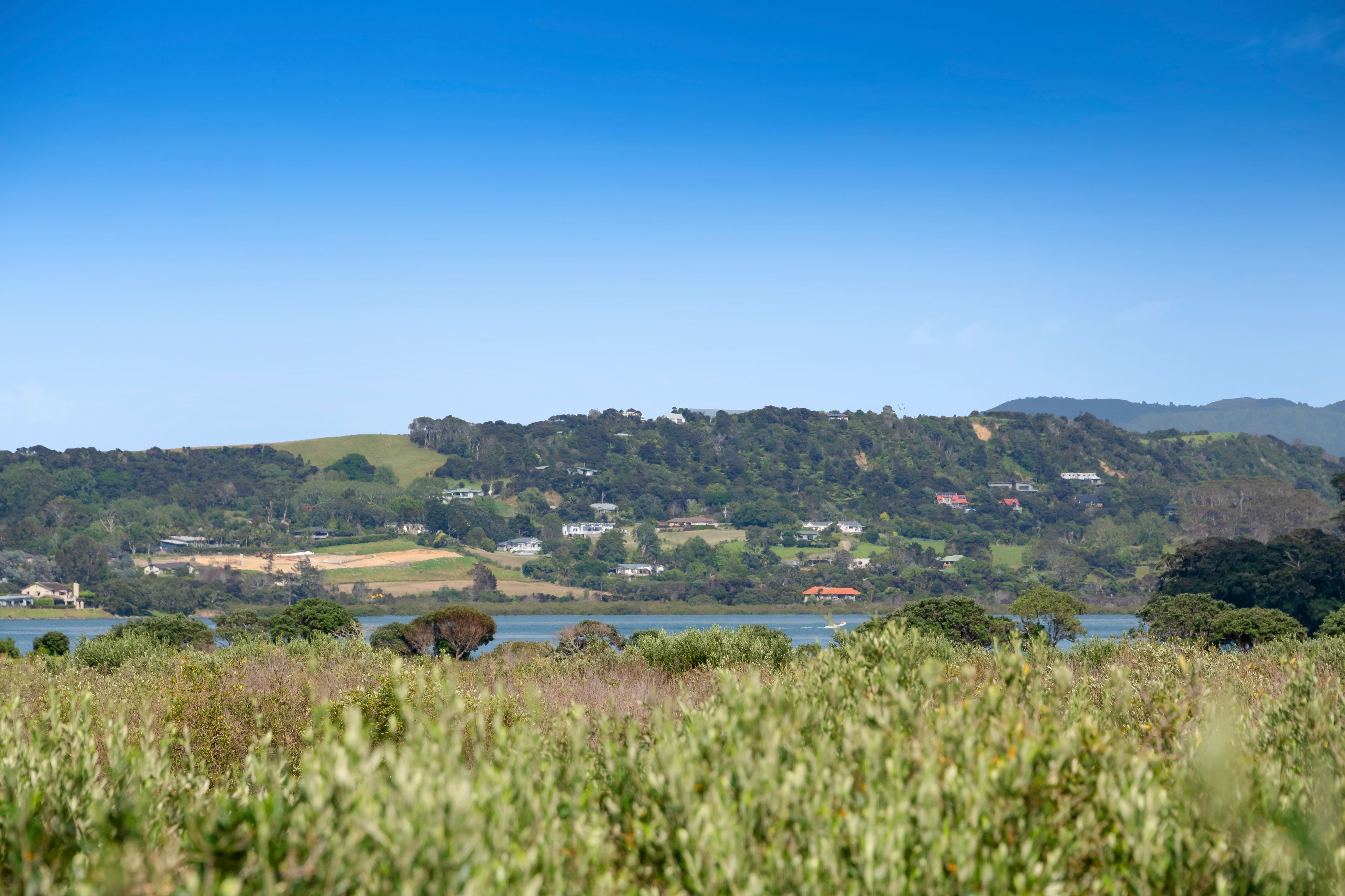 151 Tern Point, Mangawhai, Kaipara District 0505 Sold House Ray