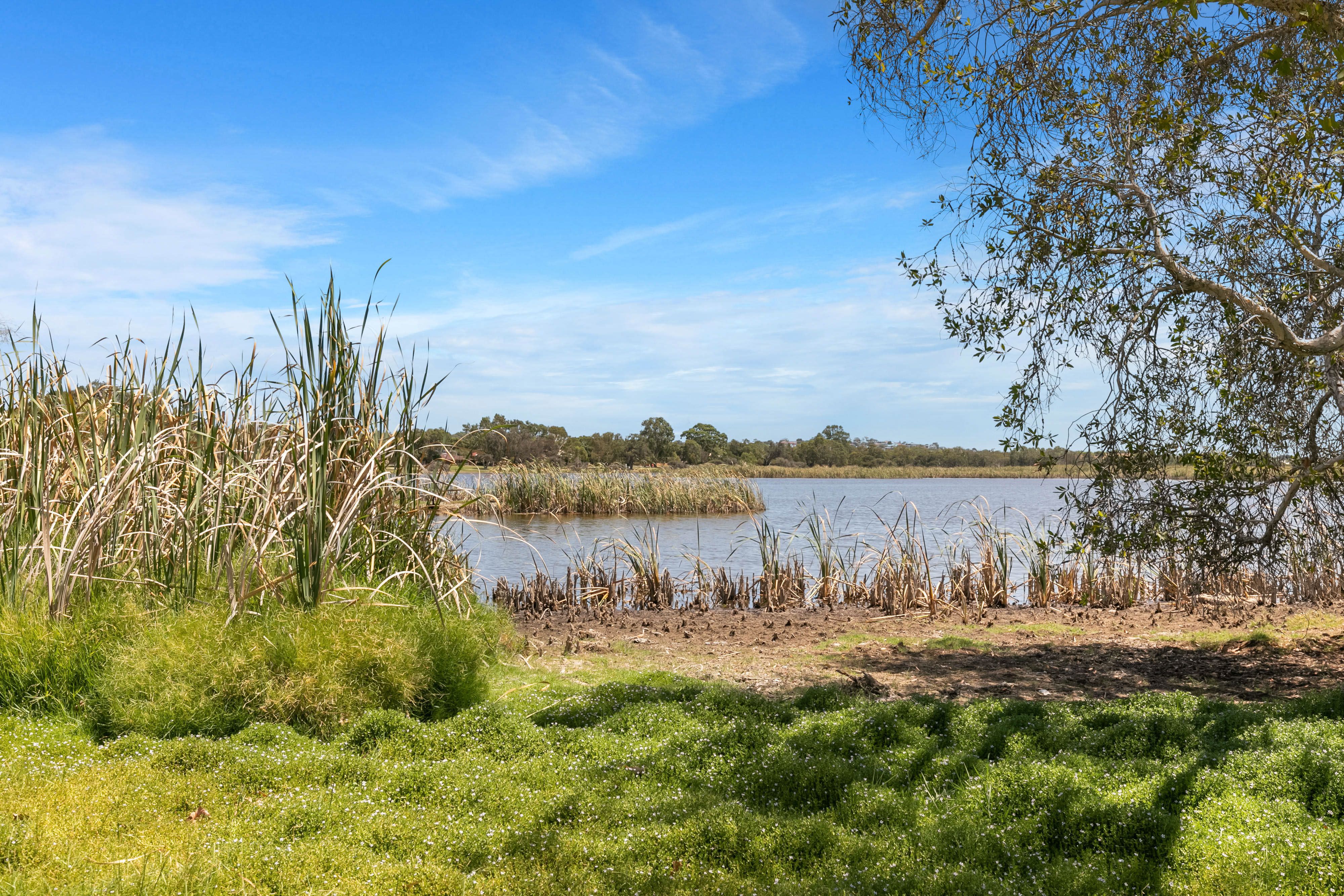 3L/24 Pearson Street, Churchlands, WA 6018