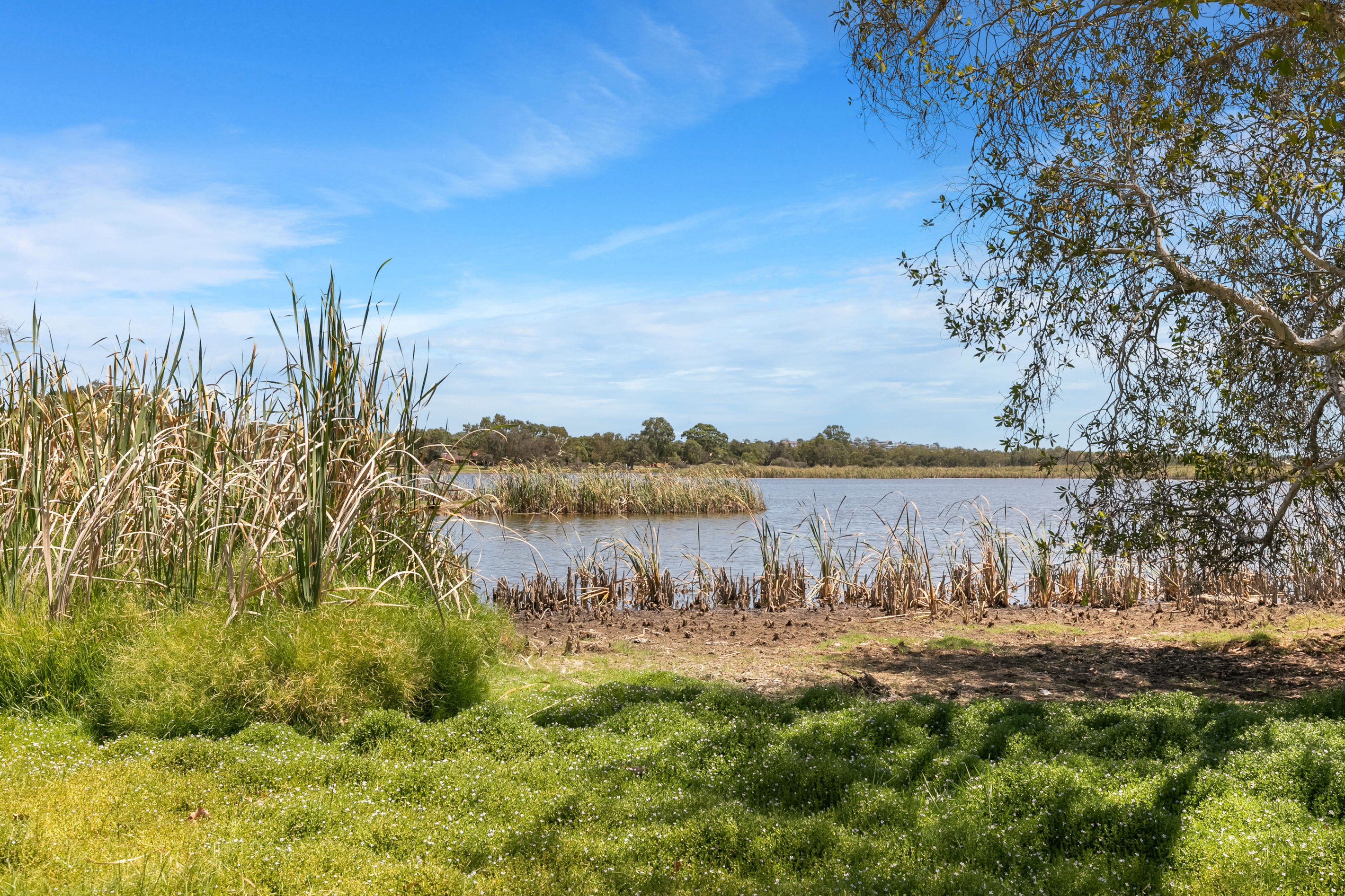 3L/24 Pearson Street, Churchlands, WA 6018