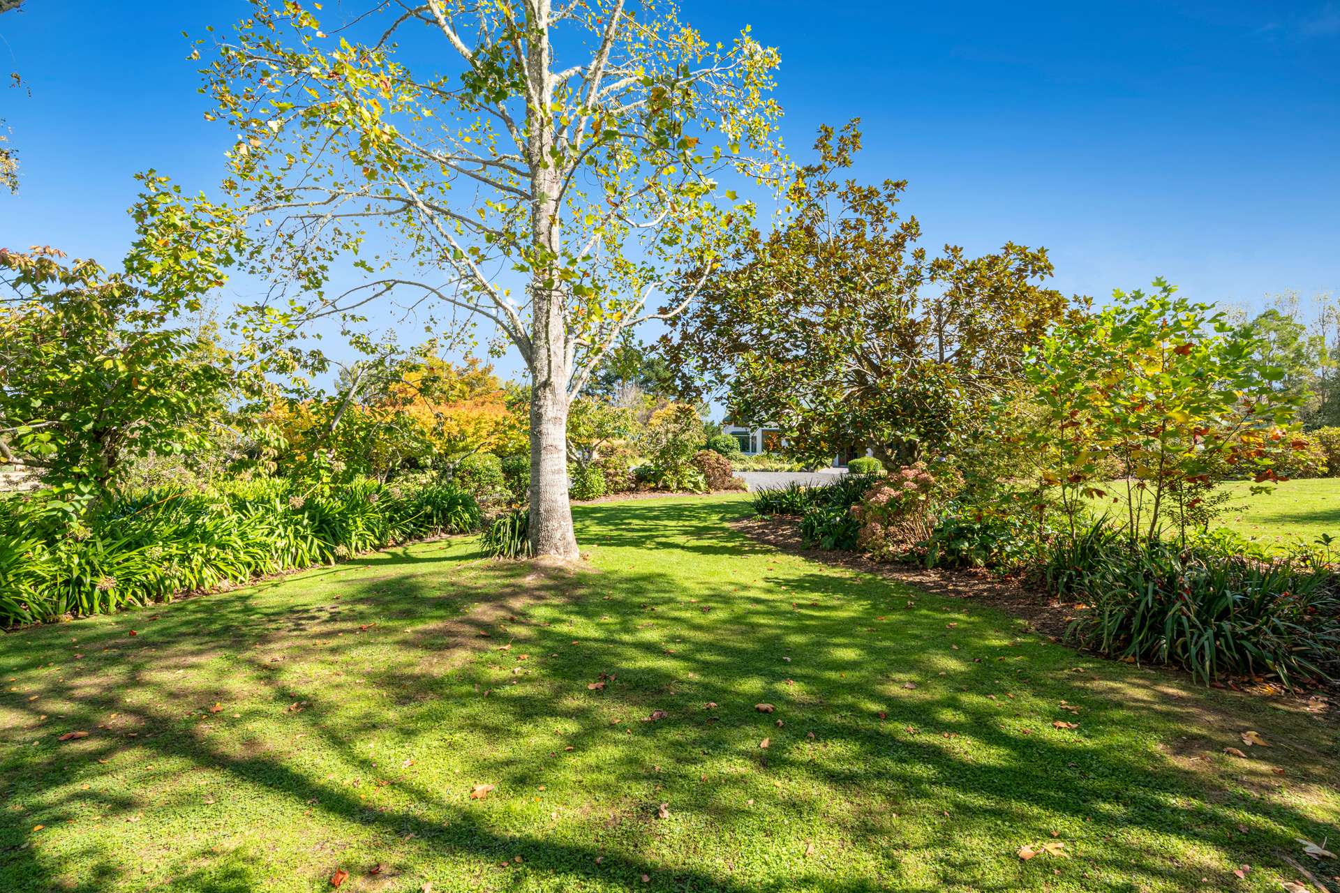 636 Kahikatea Flat Road photo 30