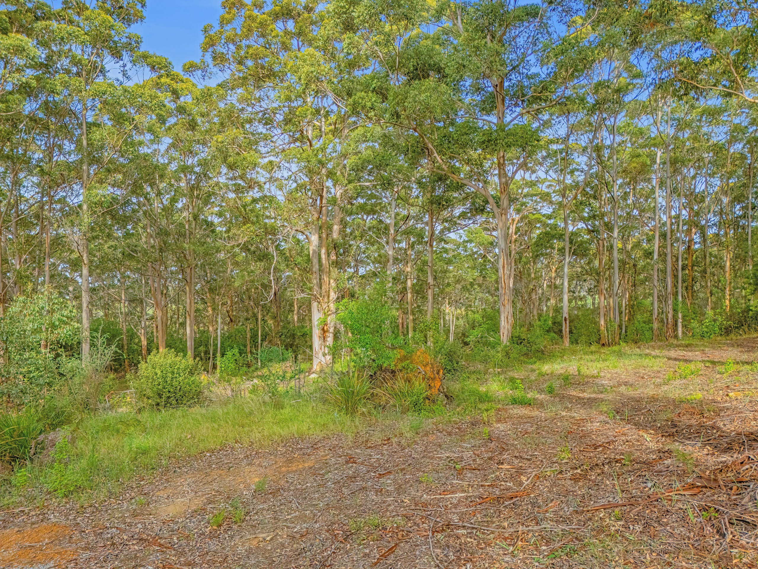 39 Mill Place, Shadforth, WA 6333
