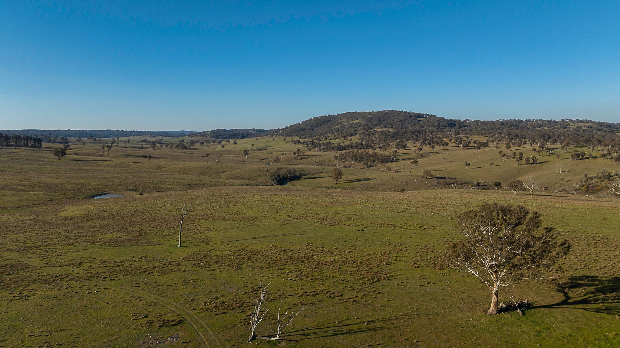 "Hillgrove Stn" 2459 Grafton Road — photo 12 of 30