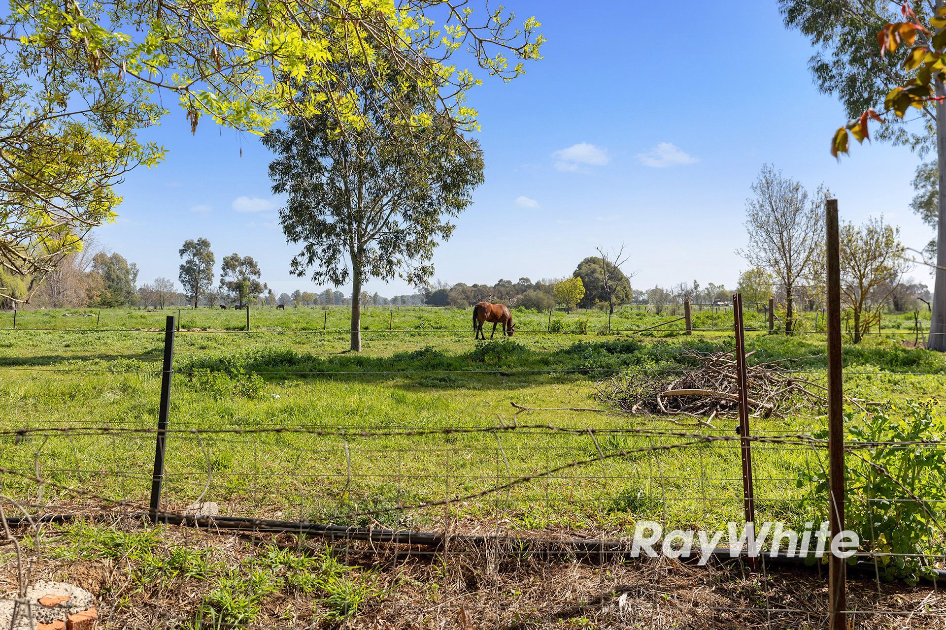 3739 Midland Highway — photo 21 of 29