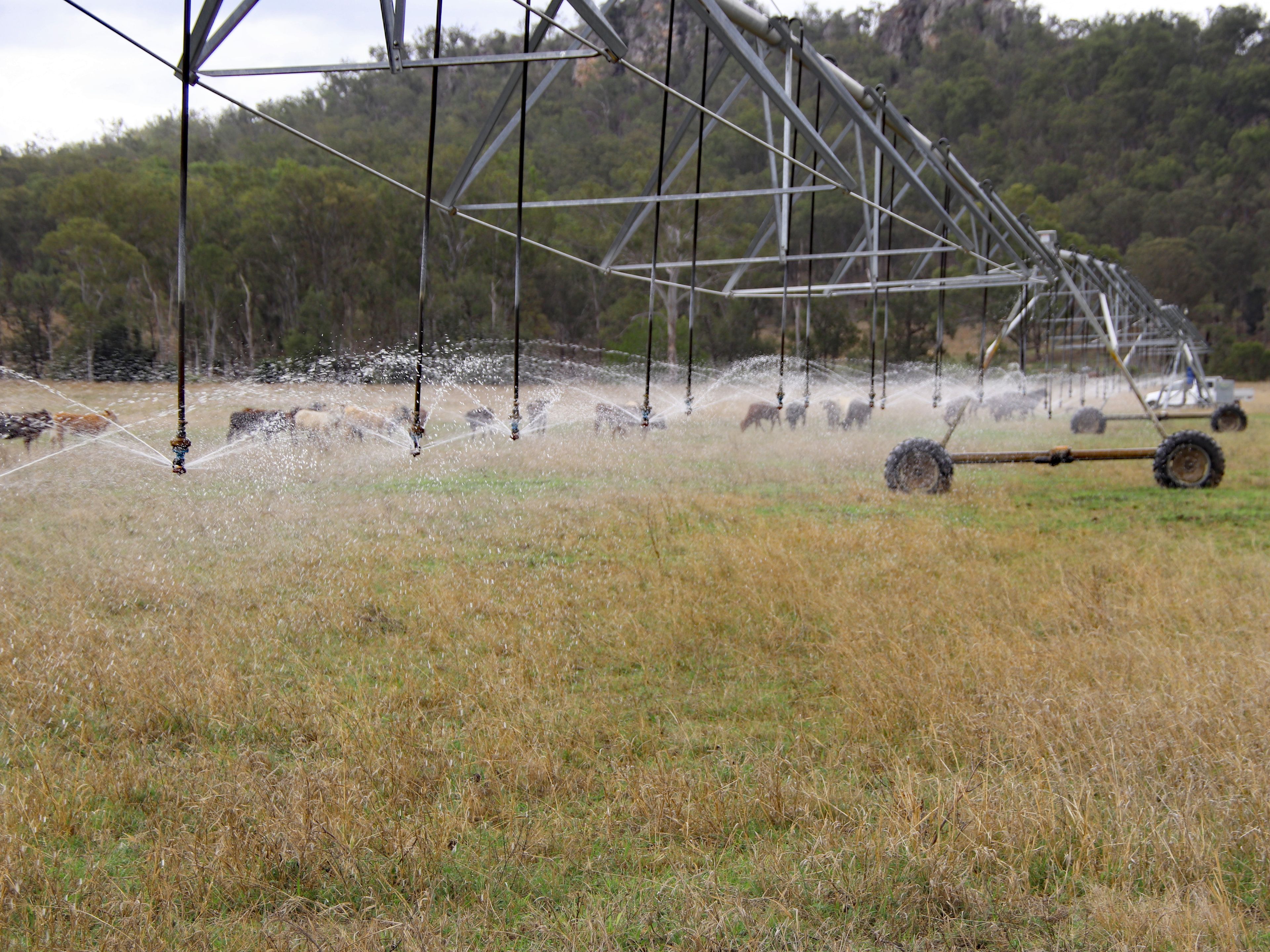 "Spring Creek" Scrubby Mountain Road — photo from Ray White Biloela