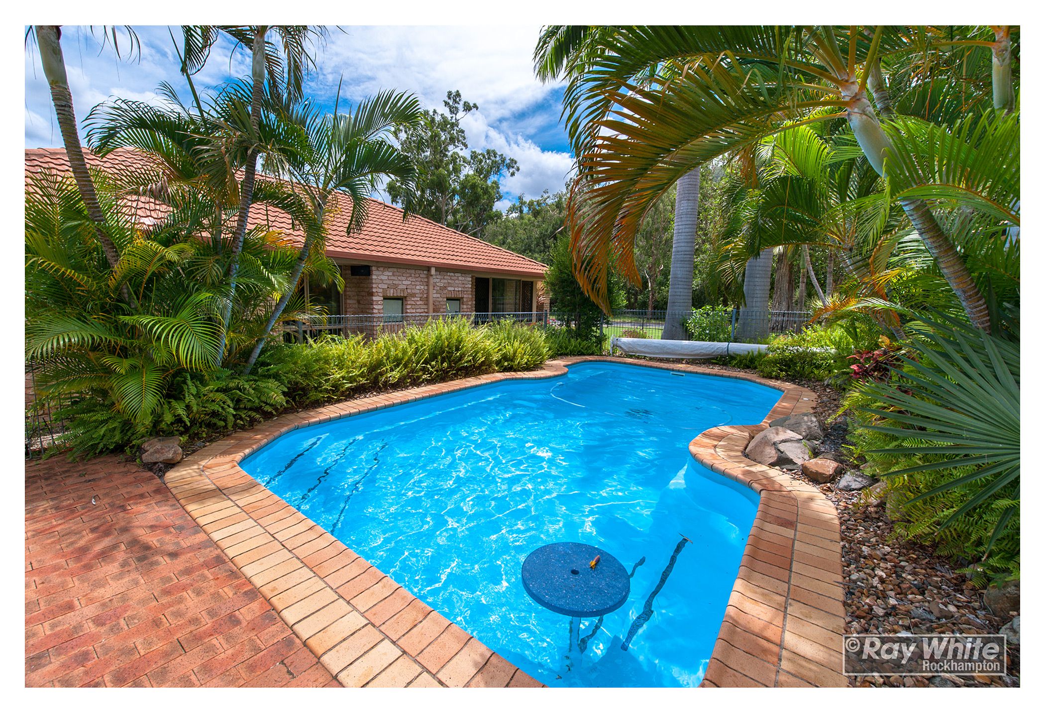 3 Blue Gum Terrace, Frenchville, QLD 4701