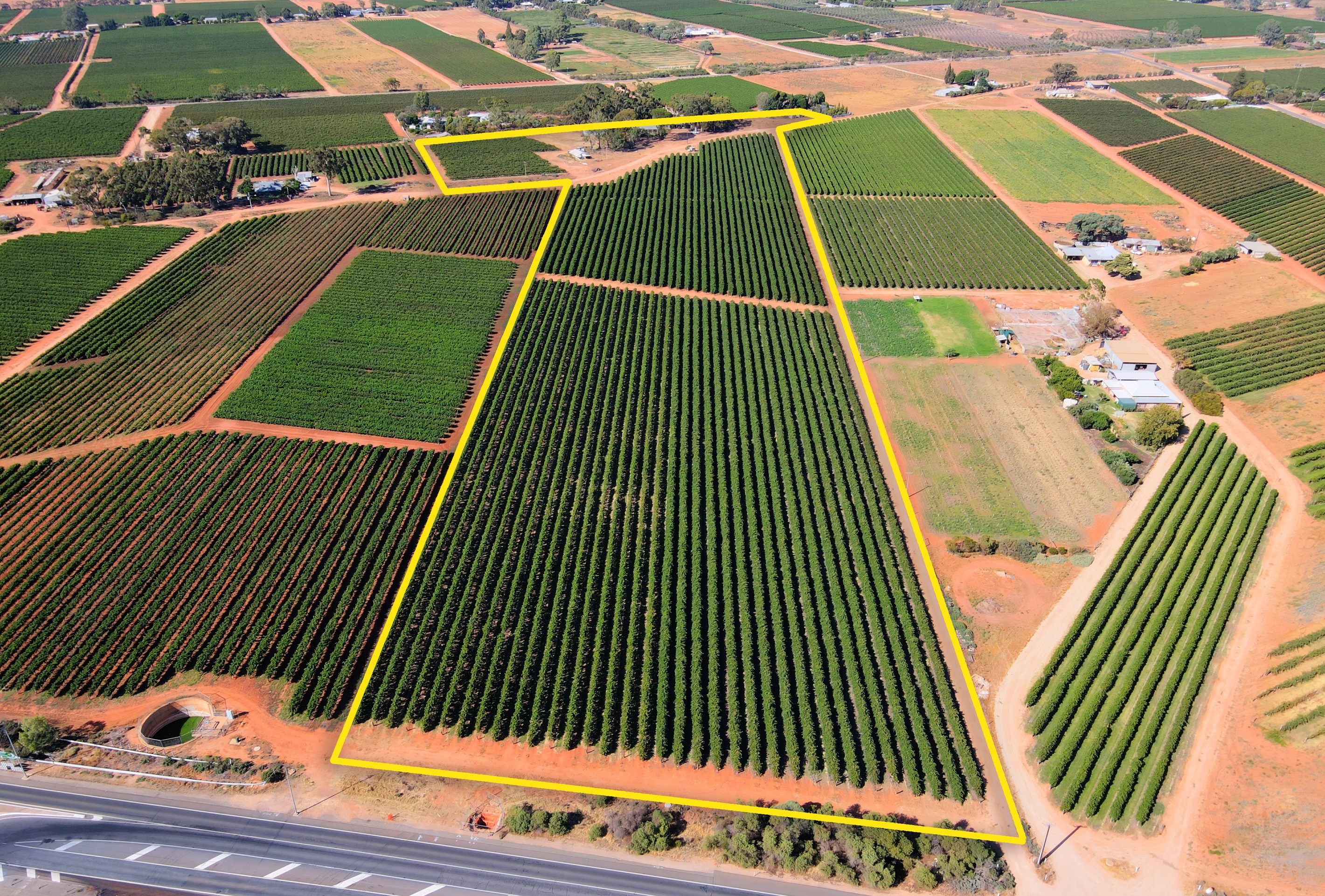 17660 Sturt Highway, Barmera, SA 5345