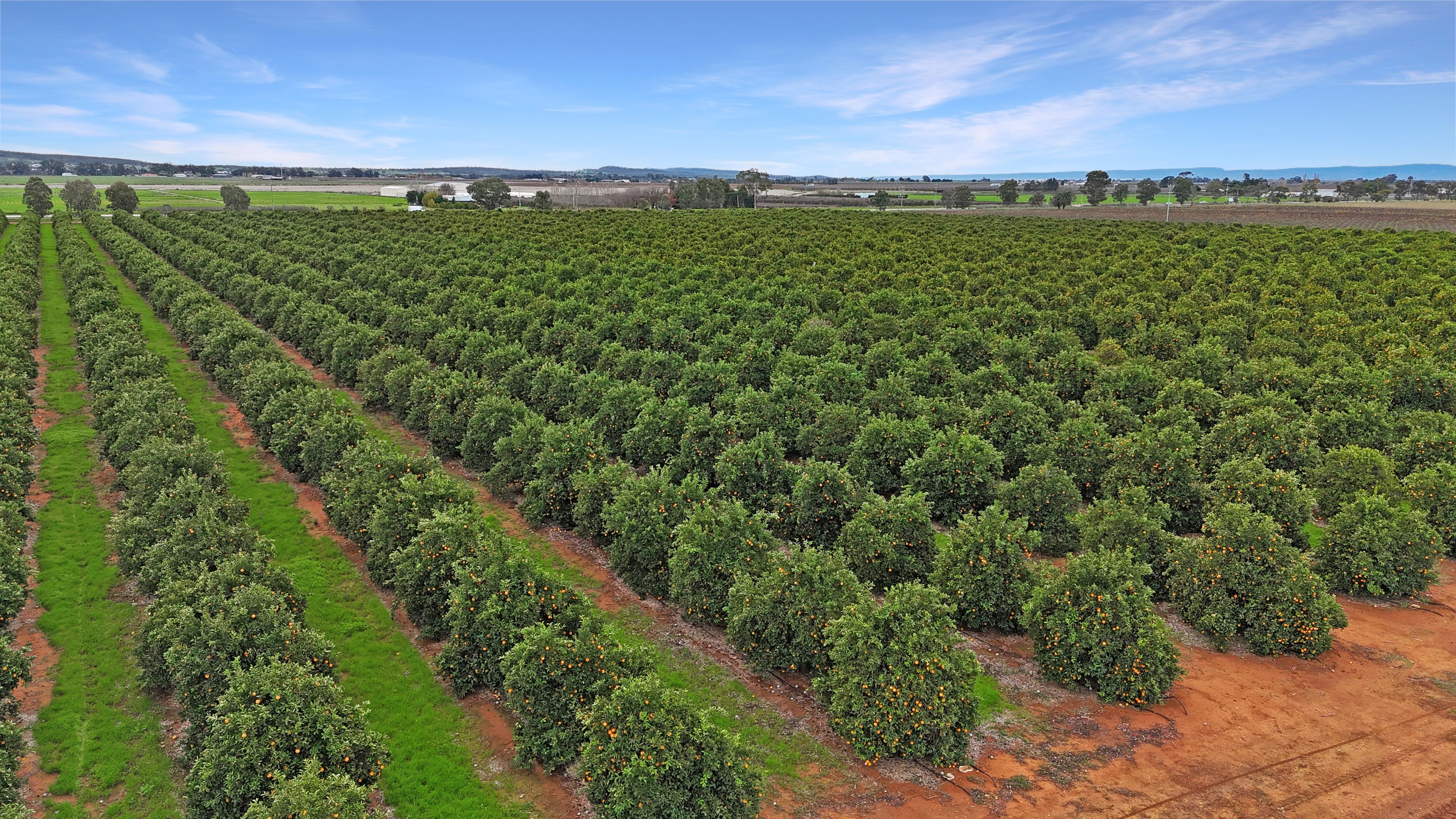 Farm 253/29 Ross Road — photo 19 of 29