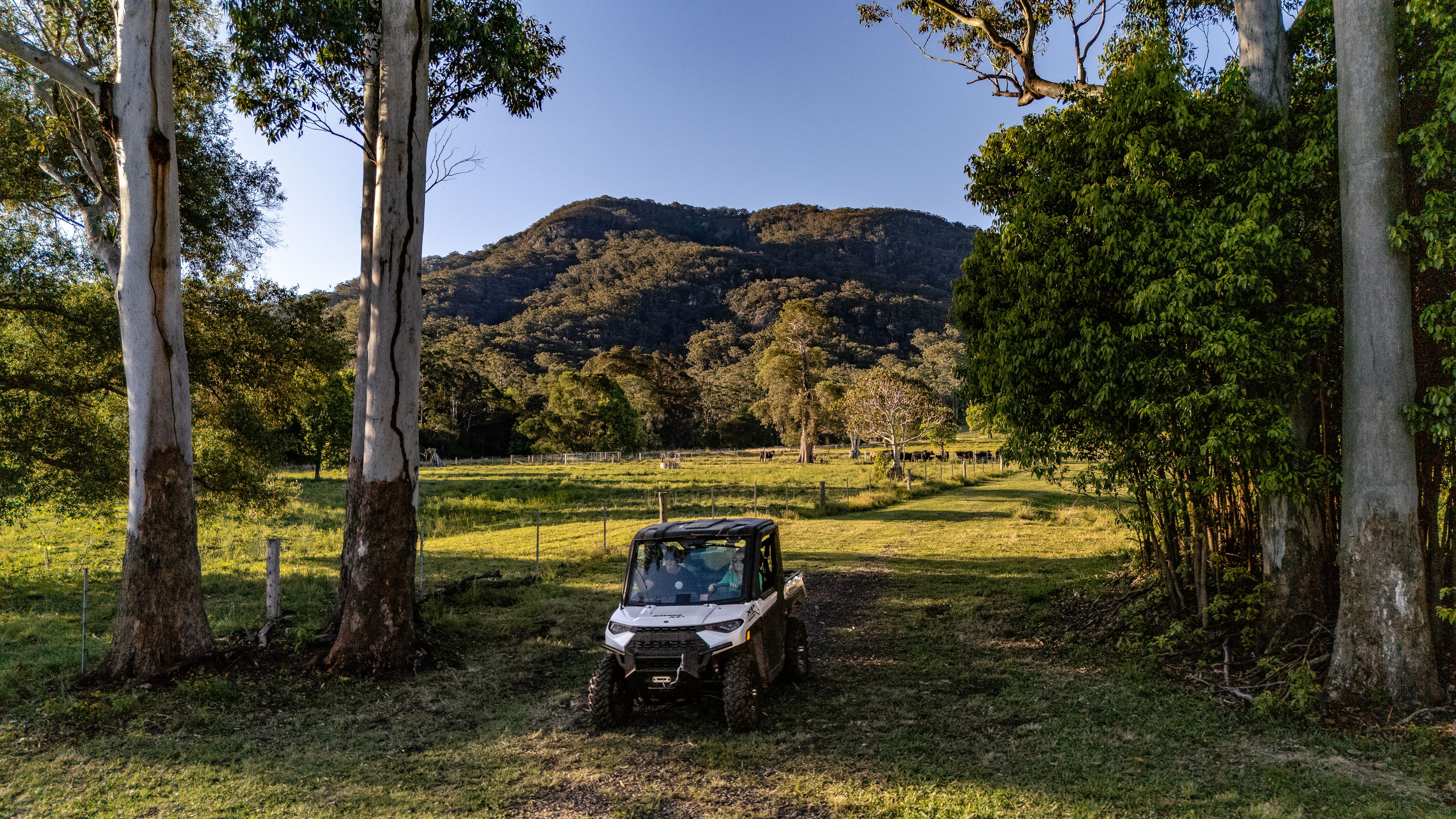 27 Riddles Brush Road, Moorland, NSW 2443 - Rural Mixed Farming ...