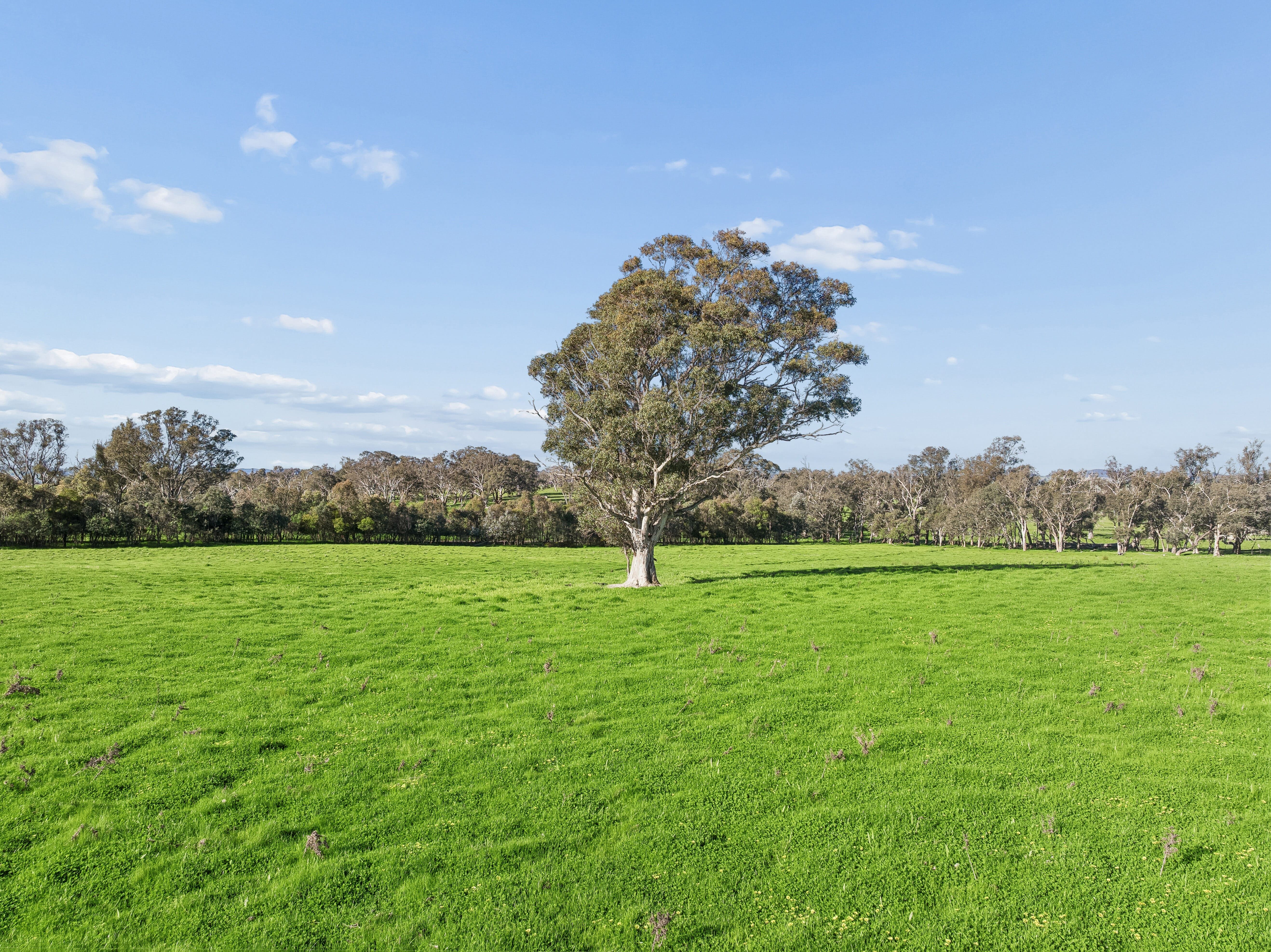 "Yellowbox", 606 Longrail Gully Road — photo 4 of 26
