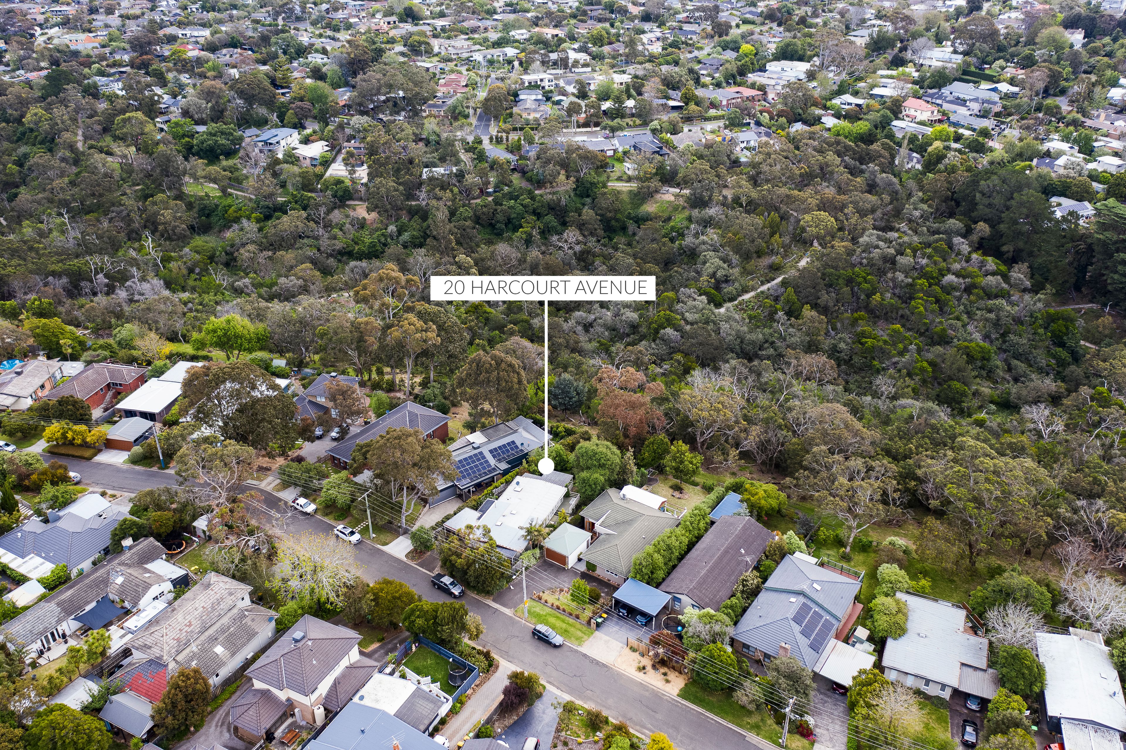 20 Harcourt Avenue, Frankston South, VIC 3199 Sold House Ray White