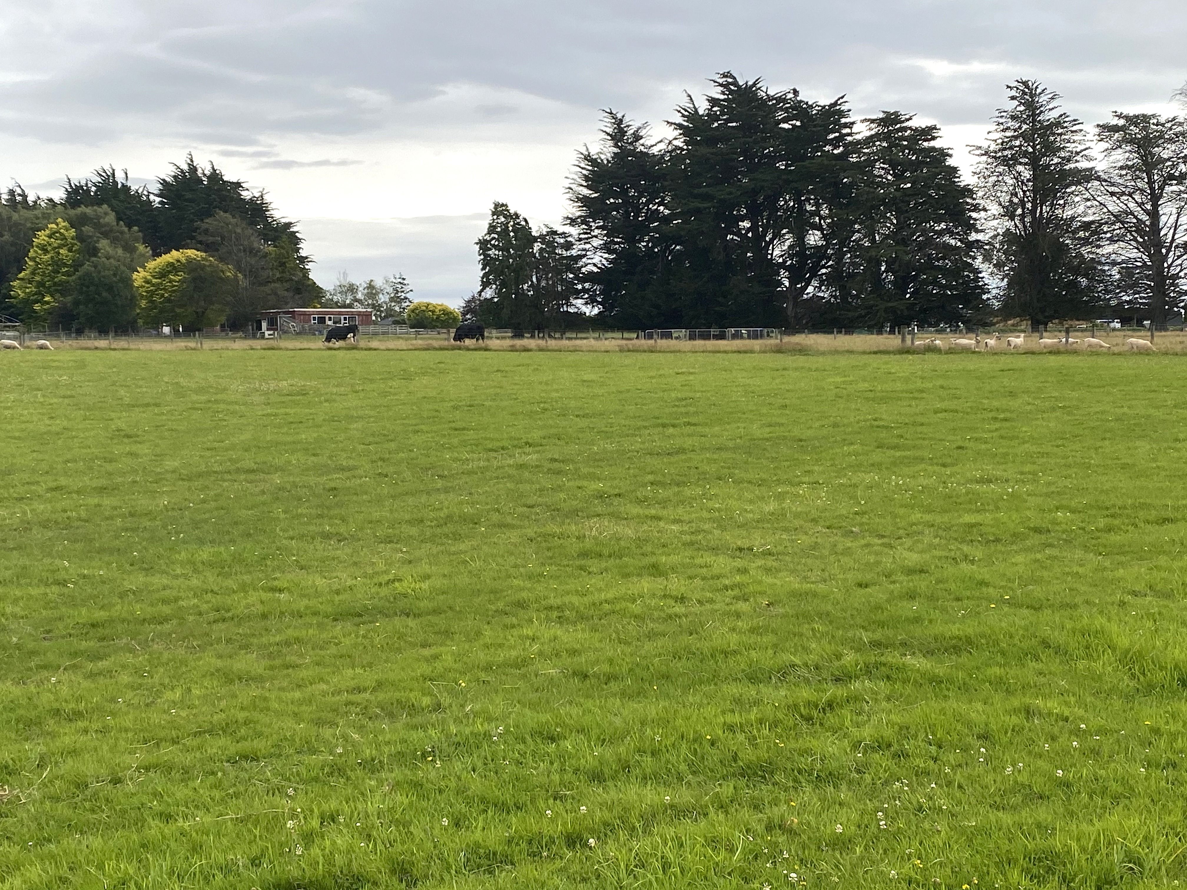 41 Drysdale Road, Myross Bush, Invercargill