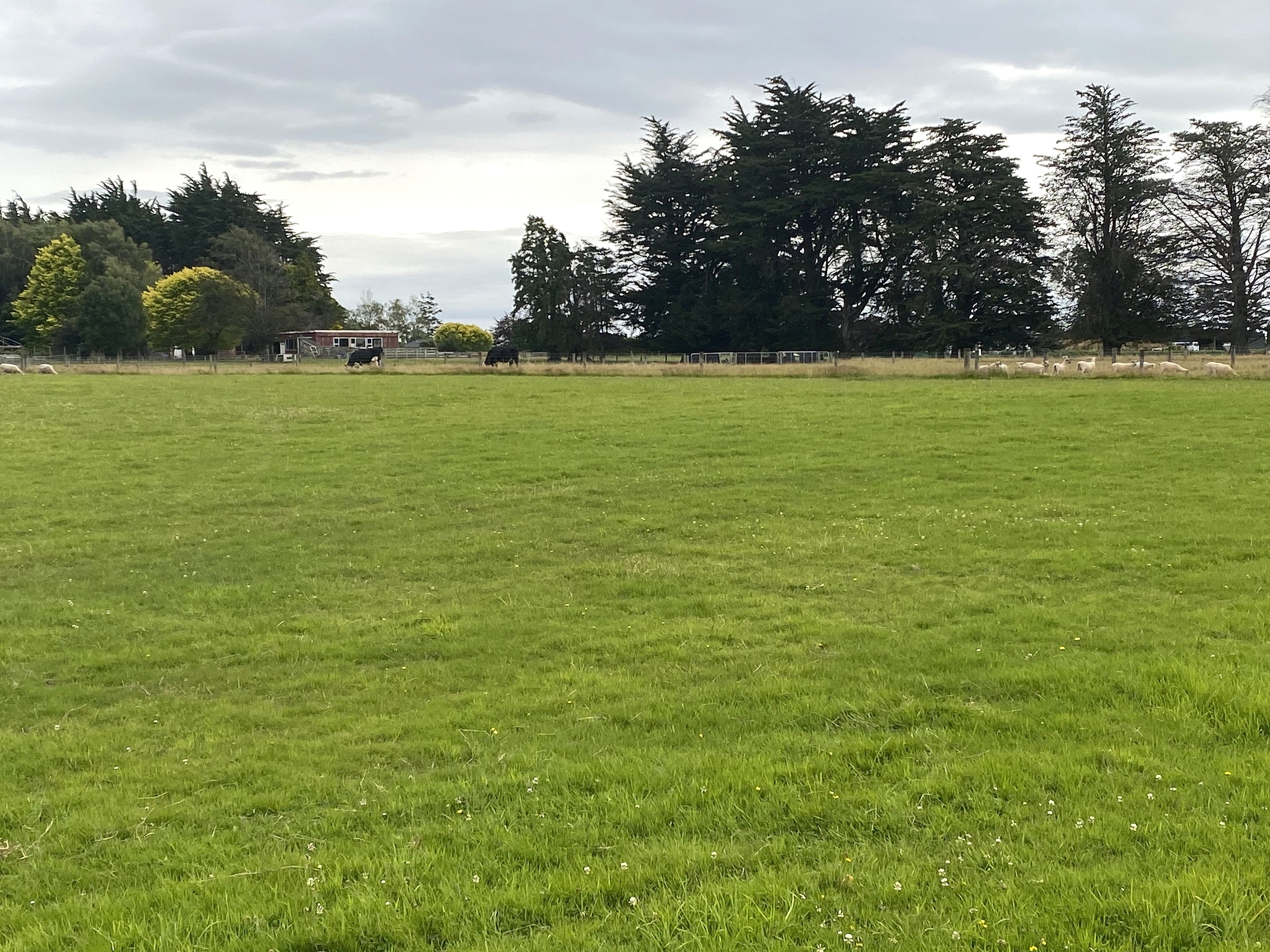 41 Drysdale Road, Myross Bush, Invercargill