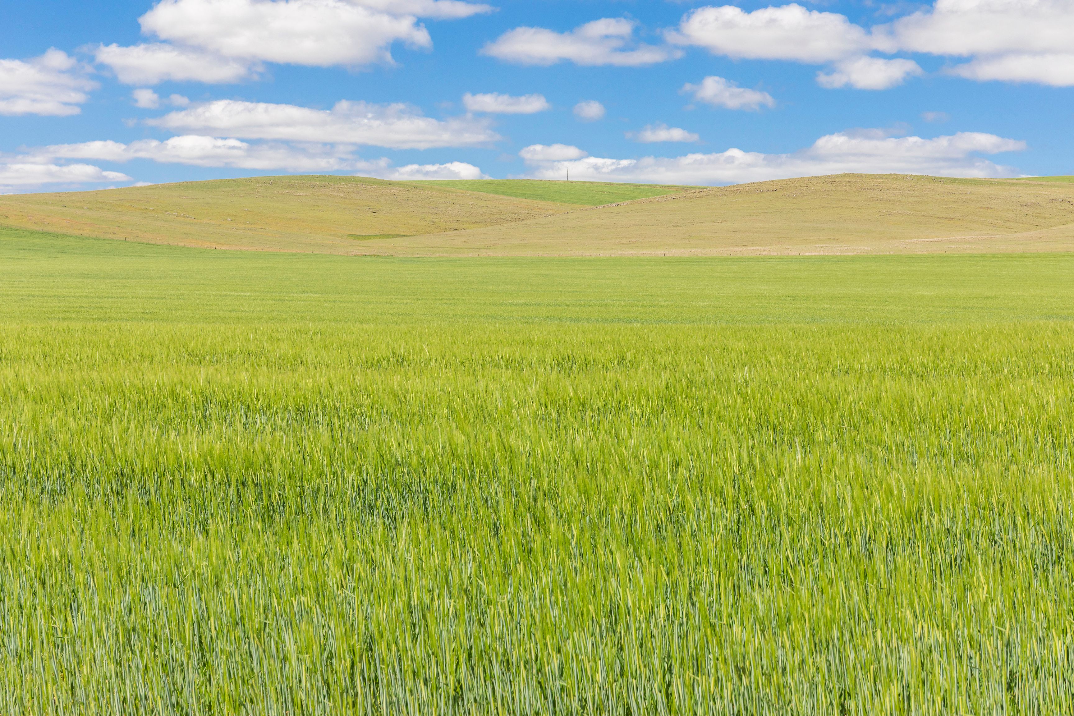 'Marshs' R M Williams Way, Andrews, SA 5454 - Sold Rural Cropping ...