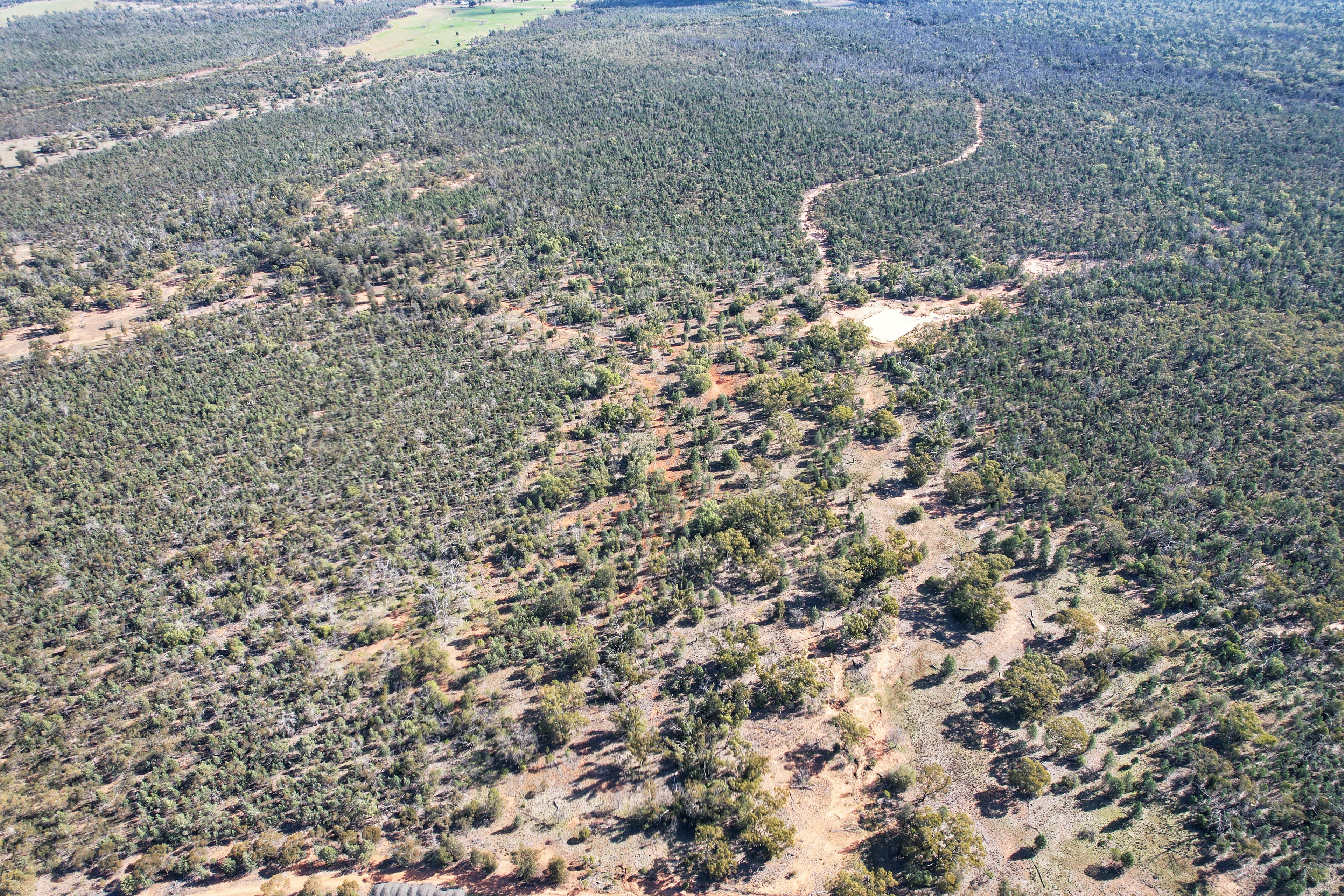 4546 The Bogan Way, Tottenham, NSW 2873