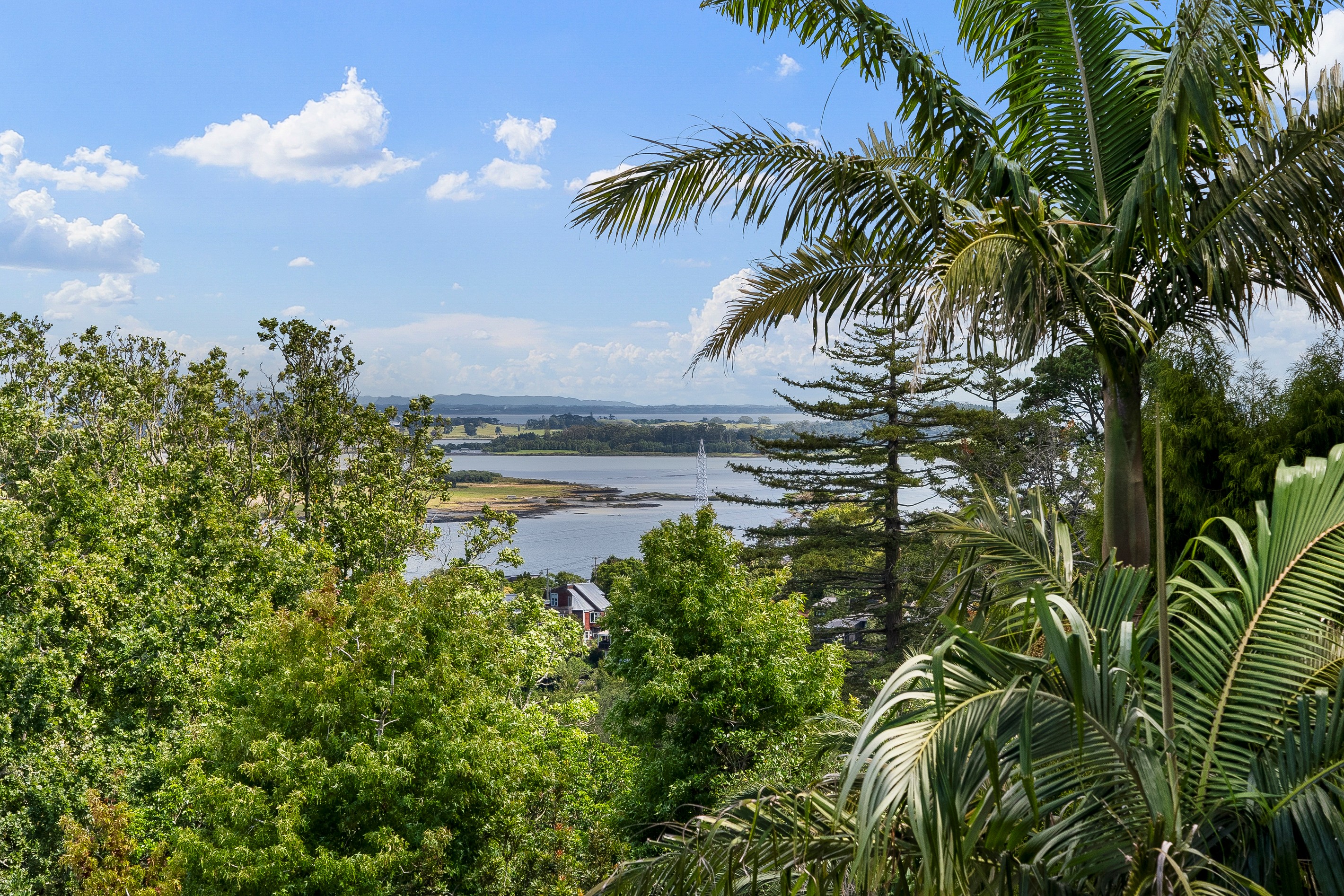 7 Belfast Street, Hillsborough, Auckland City