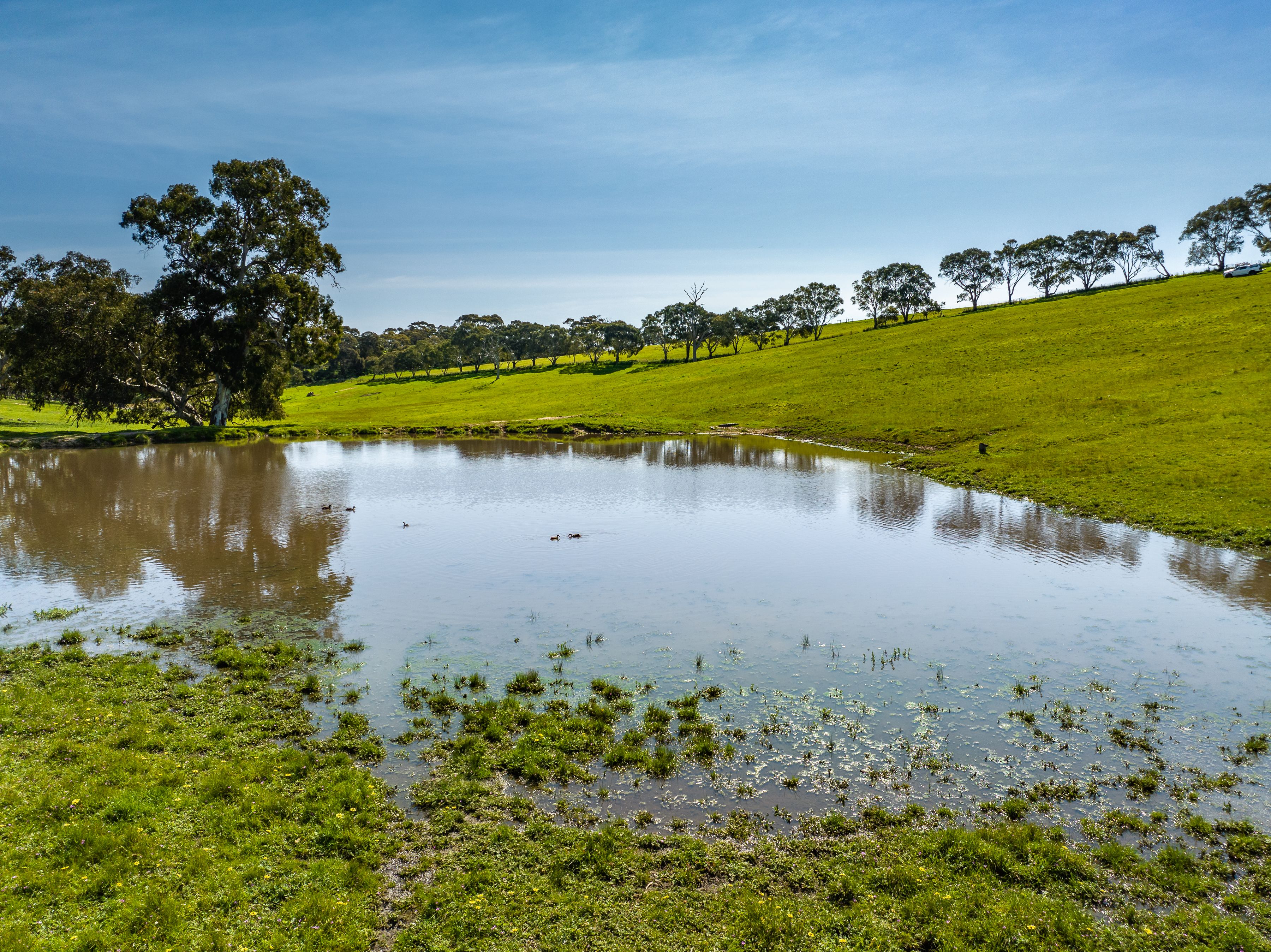 Lot 201 (Proposed),/5985 Main South Road, Yankalilla, SA 5203 Sold