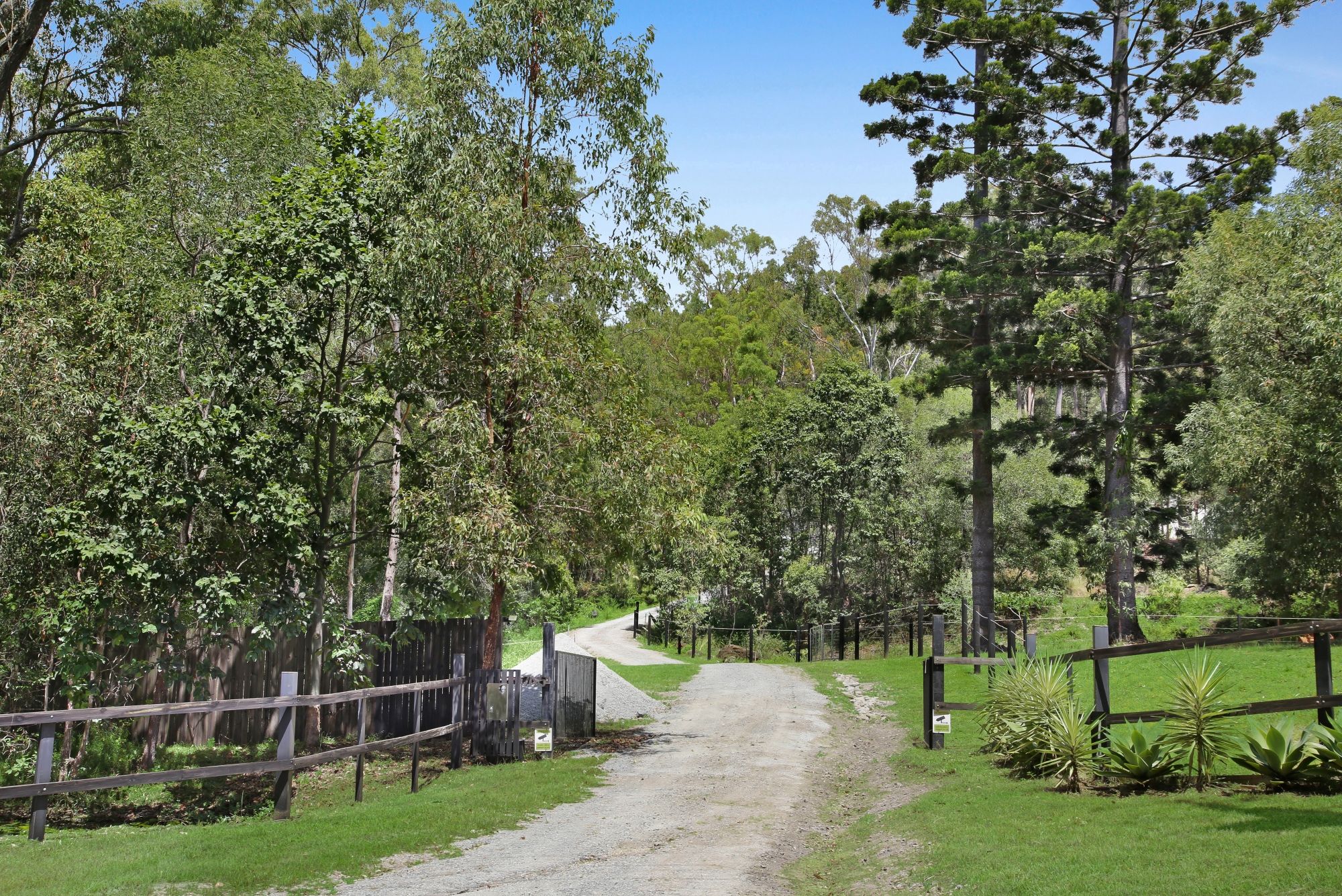 745 Gilston Road, Gilston, QLD 4211
