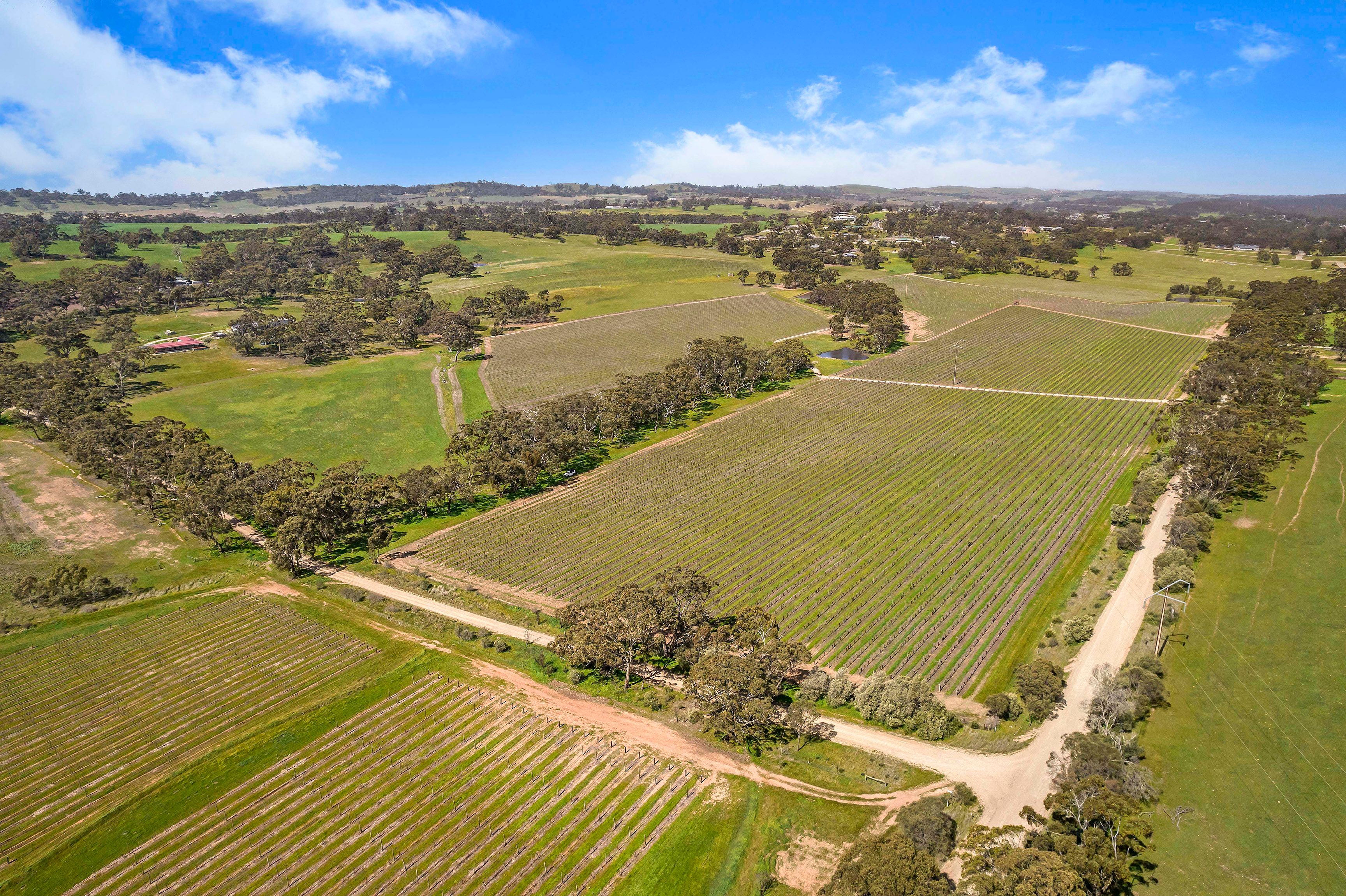 Ray White Rural South Australia