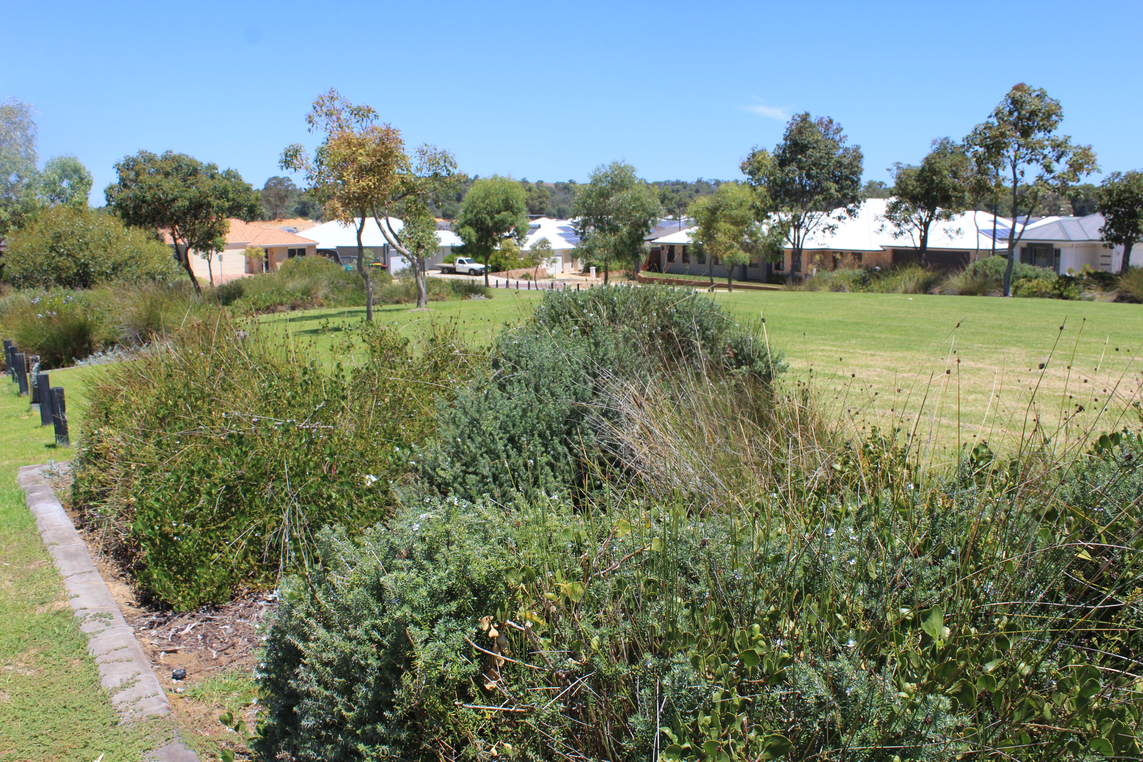 35 Liddard Gardens, Baldivis, WA 6171