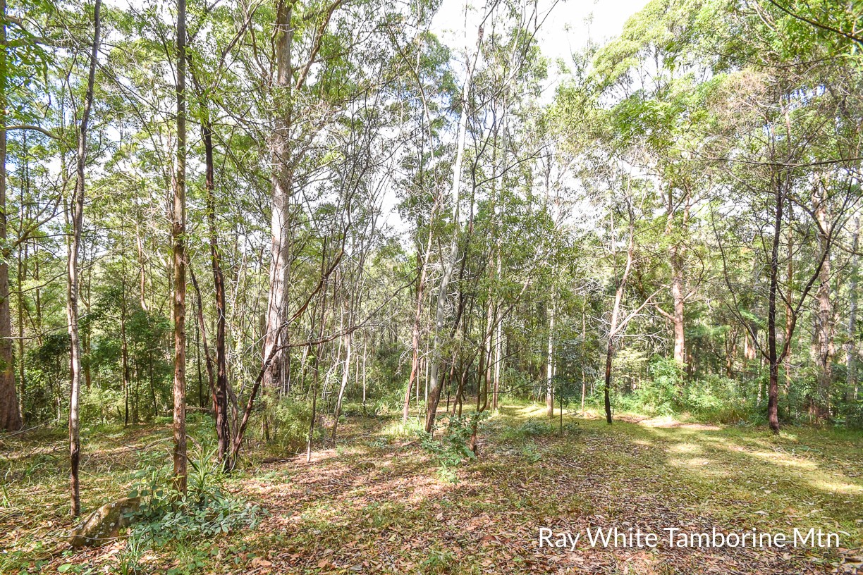 Tamborine Mountain, QLD 4272