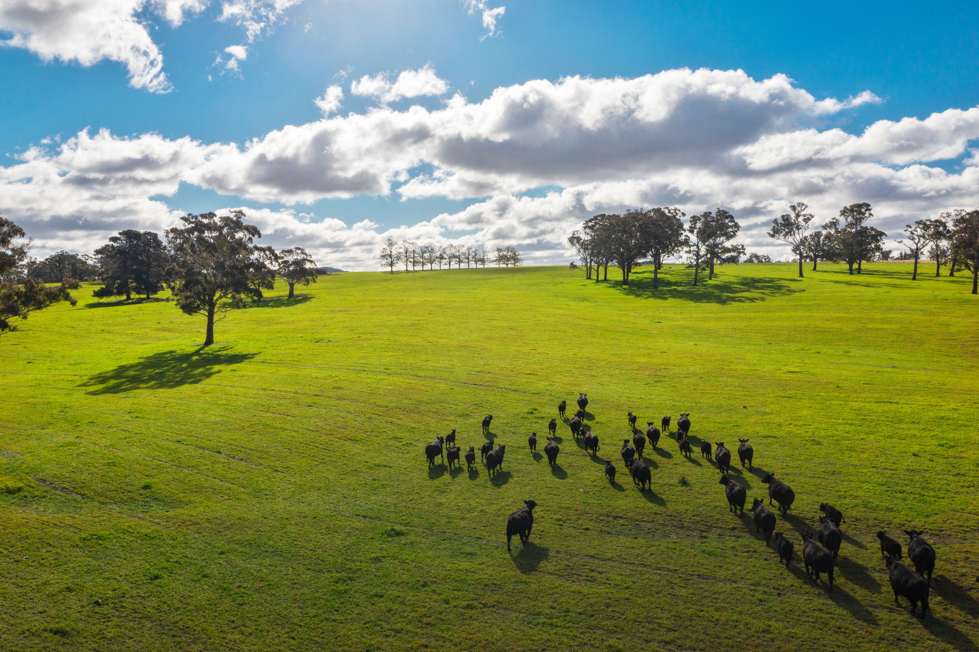 1054 Middle Arm Road, Goulburn, NSW 2580