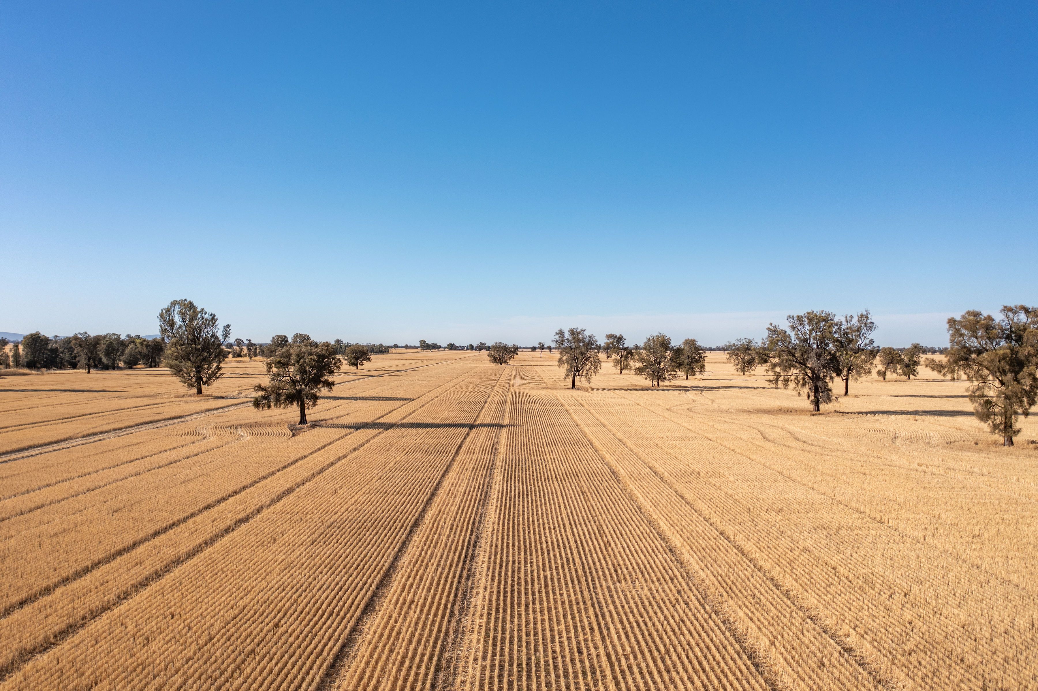 CA 37B & CA 38A Natimuk-Hamilton Road, NORADJUHA, VIC 3409