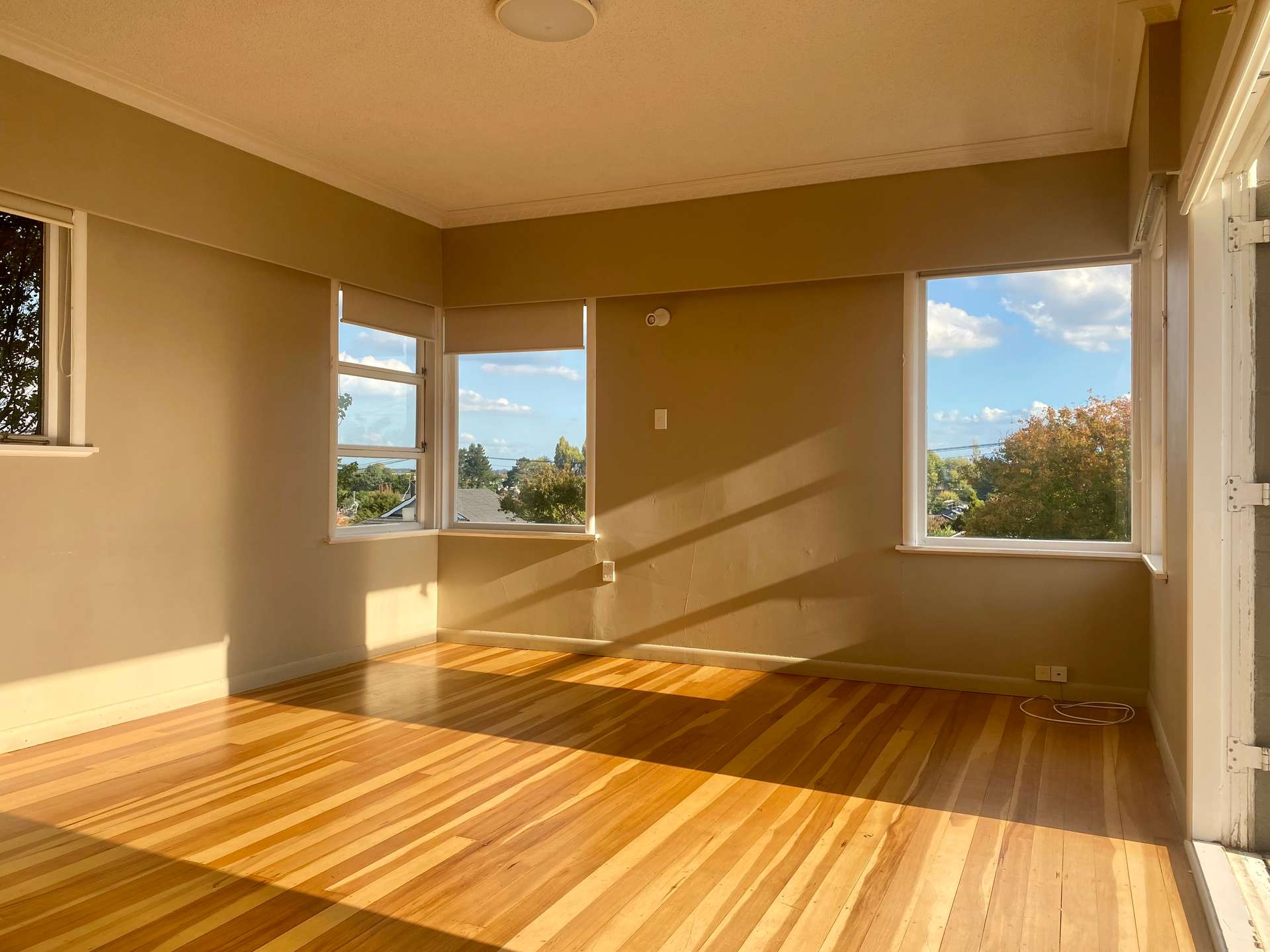 34 Matai Street photo 2